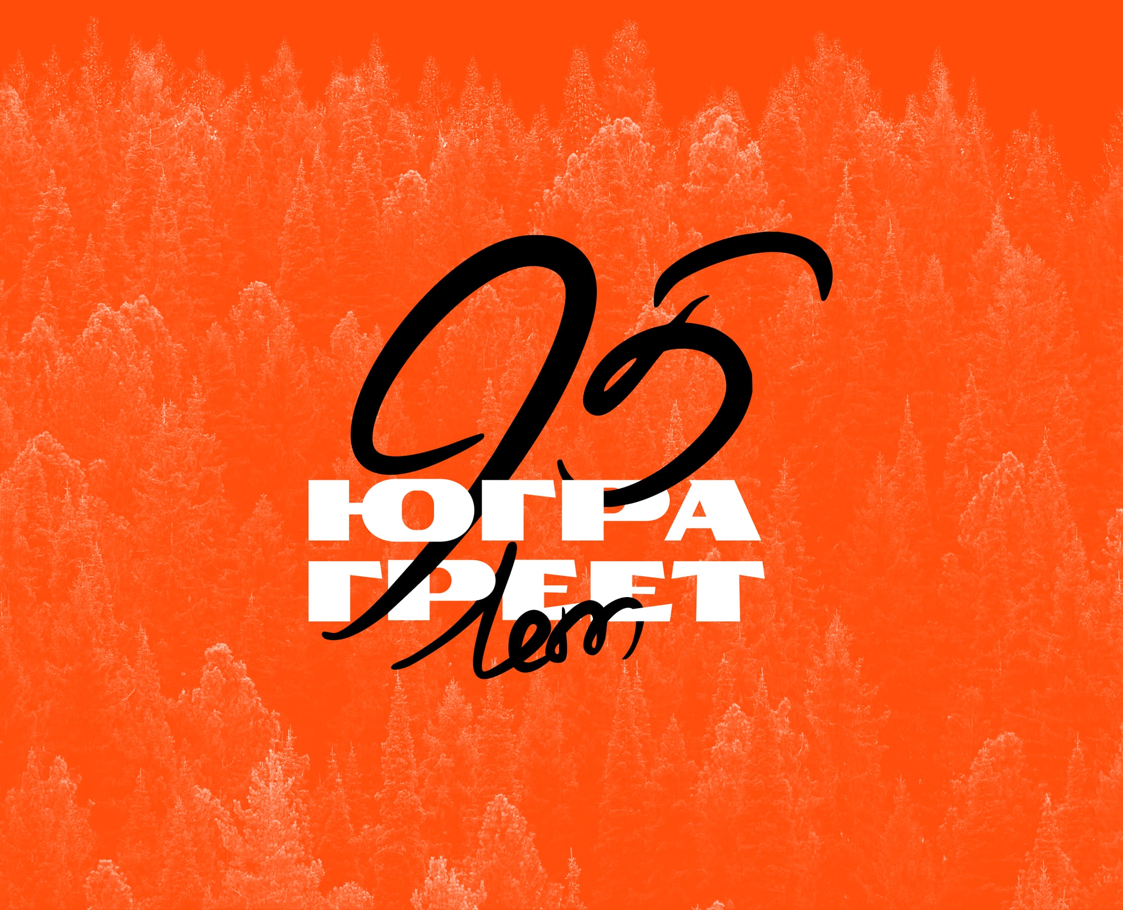 Брендбук на Dprofile