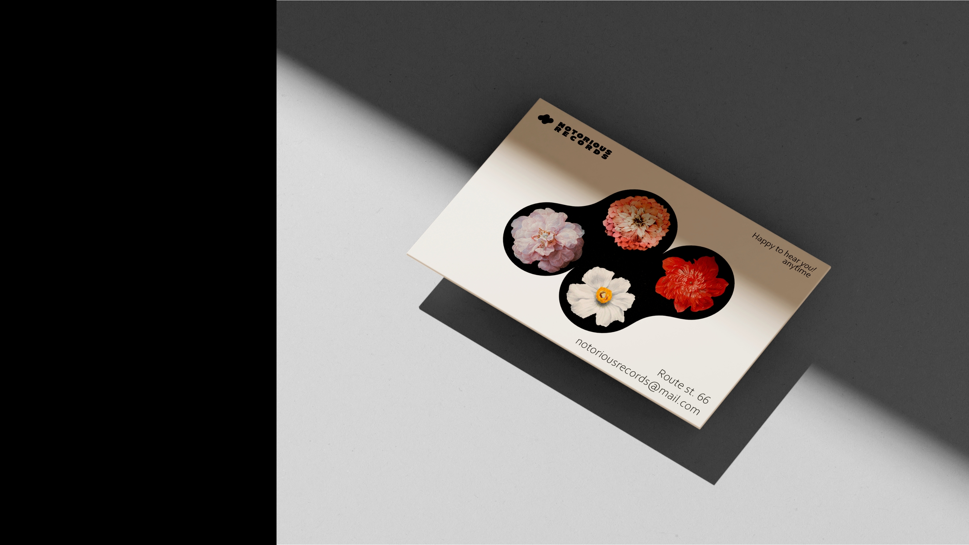 Notorious Records Logo & Branding — Изображение №8 — Брендинг на Dprofile