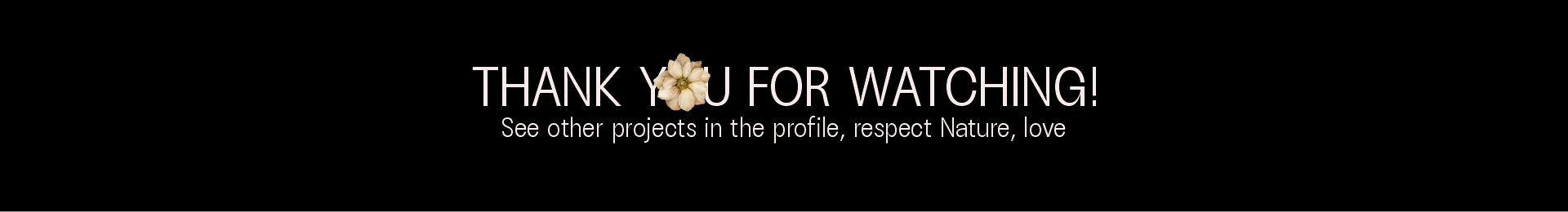 FRUKET — All-season flowers — Изображение №8 — Брендинг на Dprofile