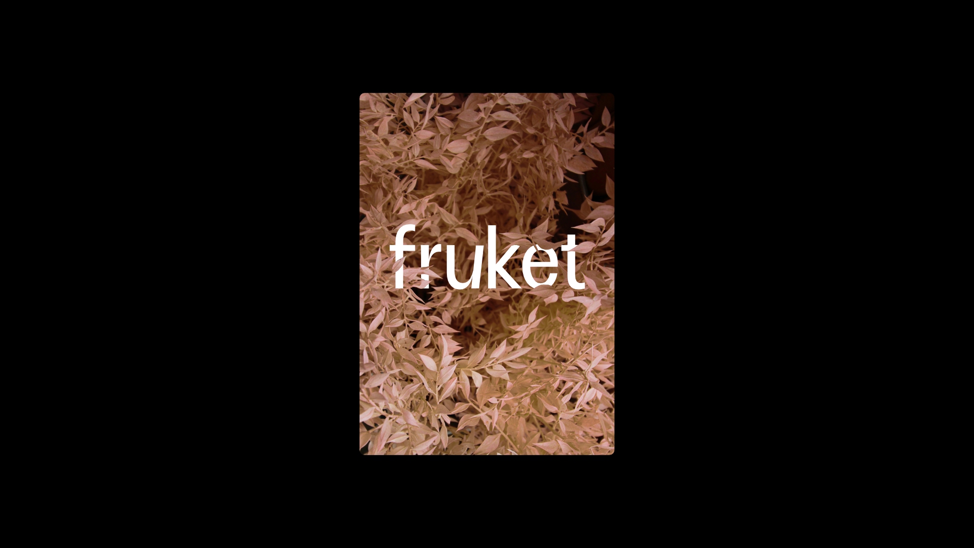 FRUKET — All-season flowers — Изображение №7 — Брендинг на Dprofile