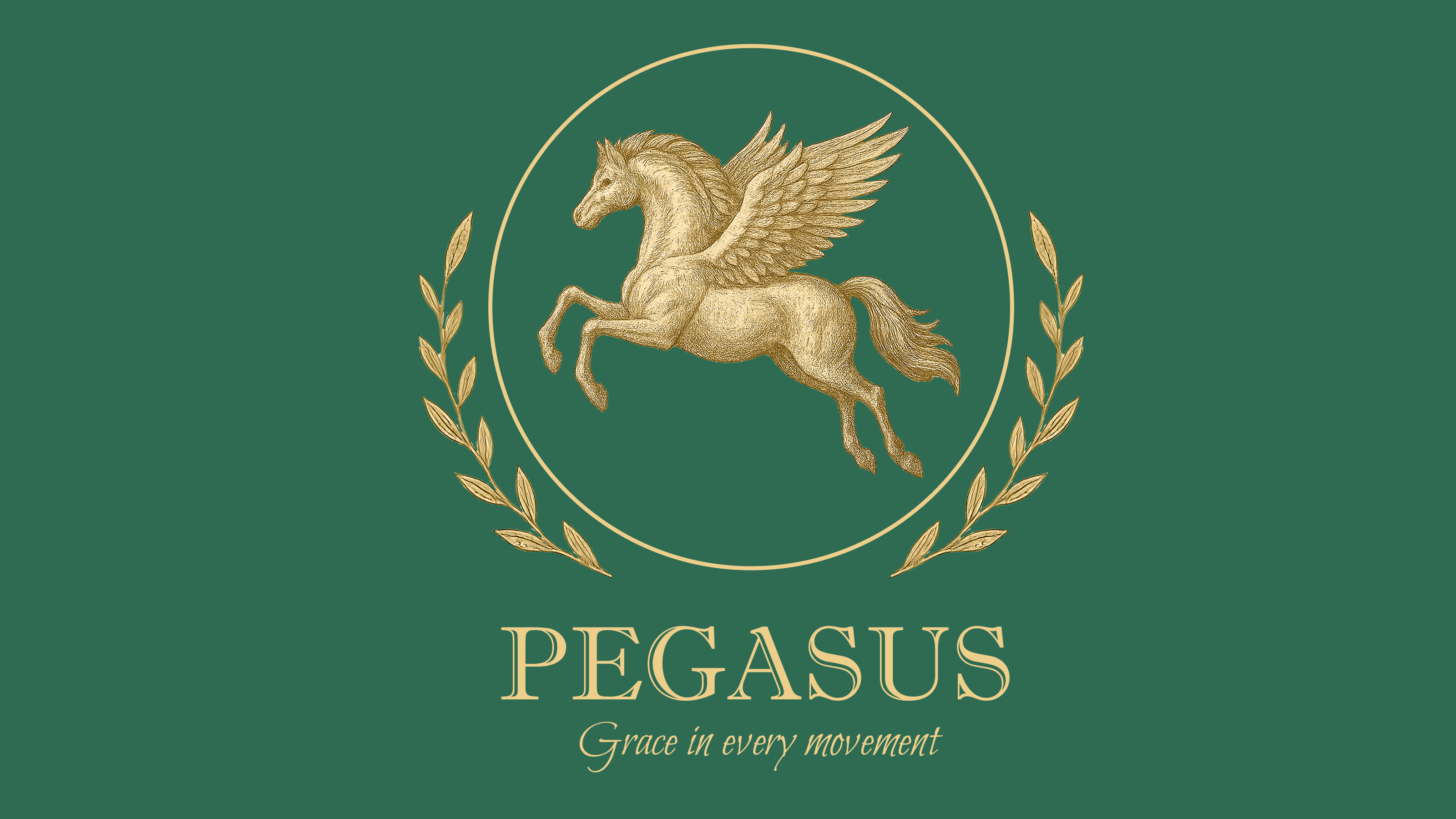 PEGASUS — Изображение №3 — Брендинг на Dprofile