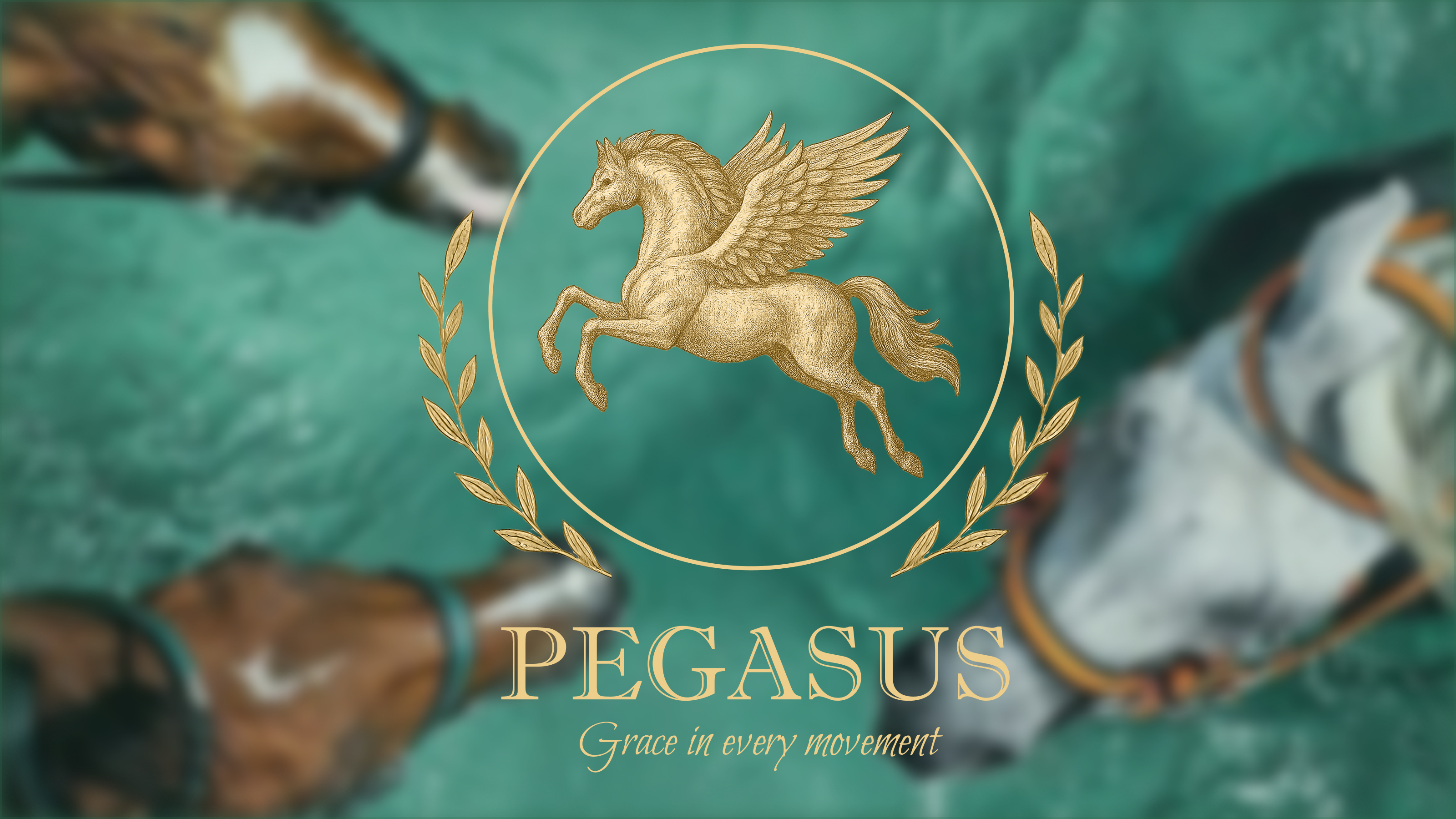 PEGASUS — Изображение №1 — Брендинг на Dprofile