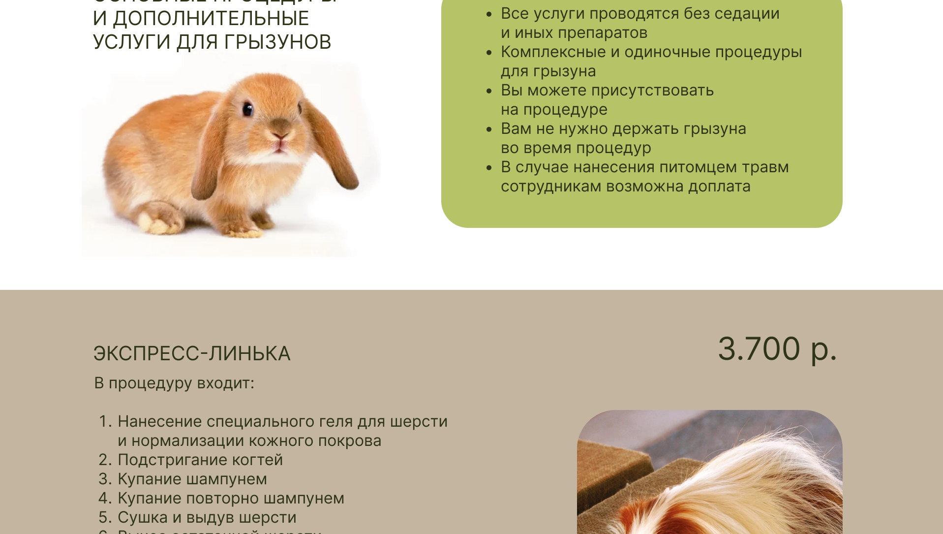 ДИЗАЙН САЙТА ДЛЯ ГРУМЕР СТУДИИ — Изображение №18 — Интерфейсы, Маркетинг на Dprofile