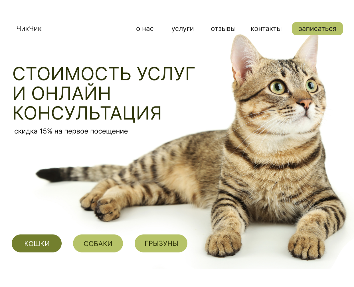 ДИЗАЙН САЙТА ДЛЯ ГРУМЕР СТУДИИ — Интерфейсы, Маркетинг на Dprofile