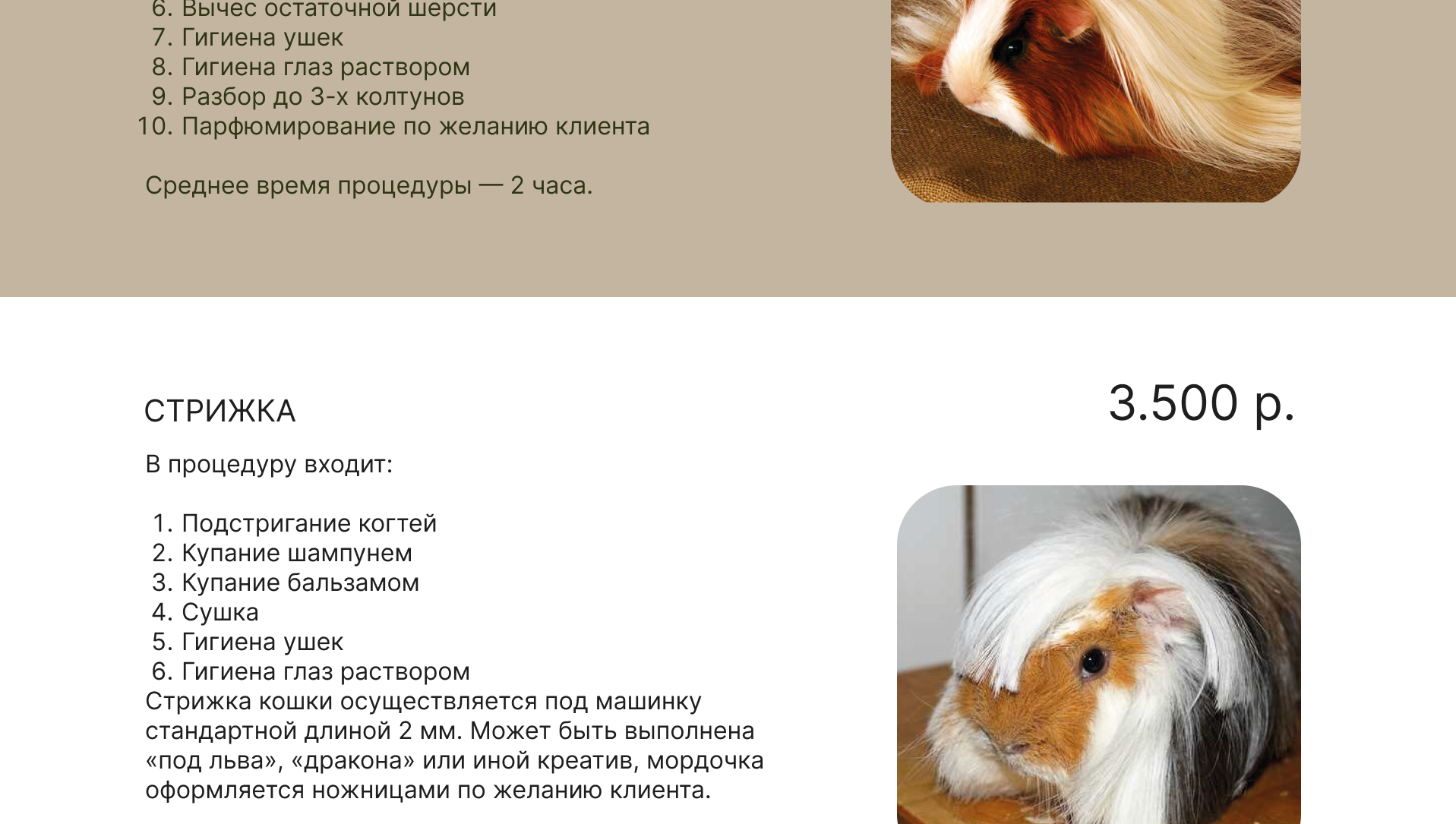 ДИЗАЙН САЙТА ДЛЯ ГРУМЕР СТУДИИ — Изображение №19 — Интерфейсы, Маркетинг на Dprofile