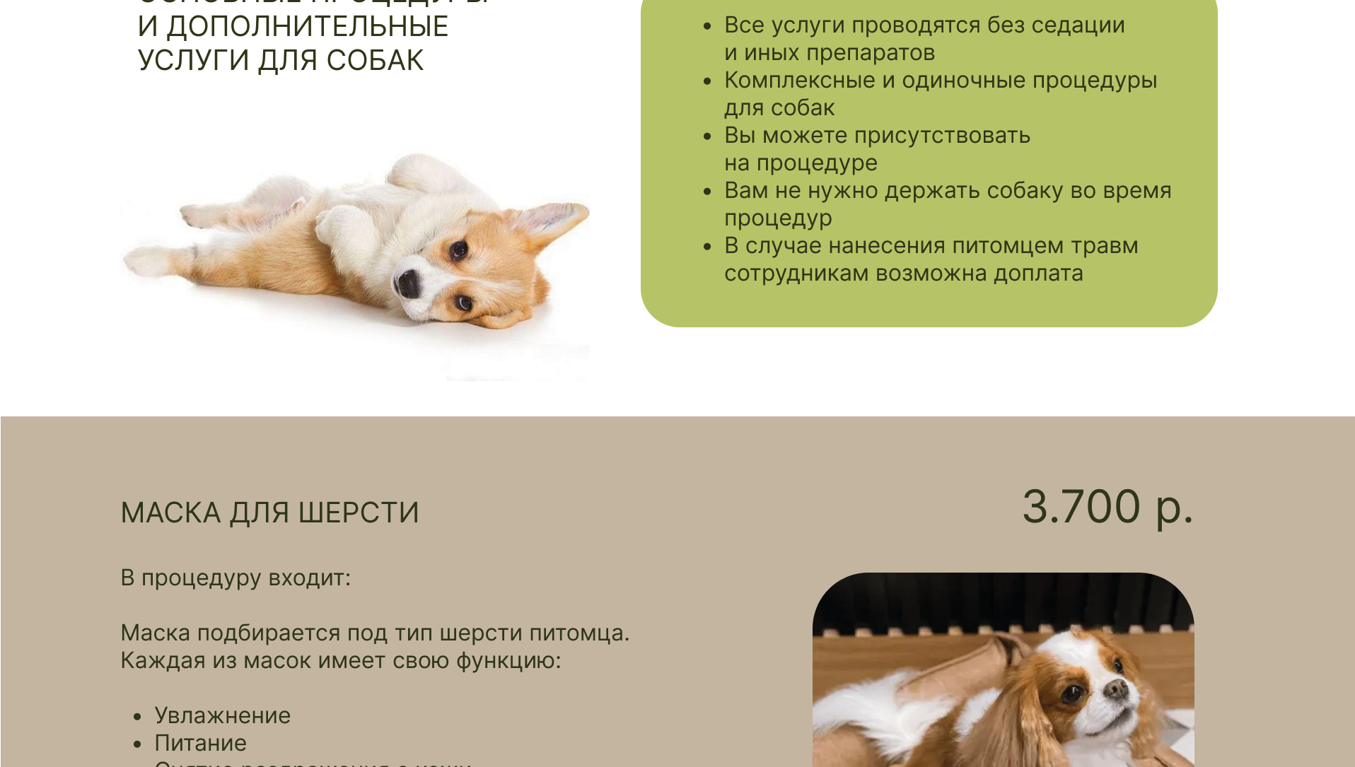 ДИЗАЙН САЙТА ДЛЯ ГРУМЕР СТУДИИ — Изображение №13 — Интерфейсы, Маркетинг на Dprofile
