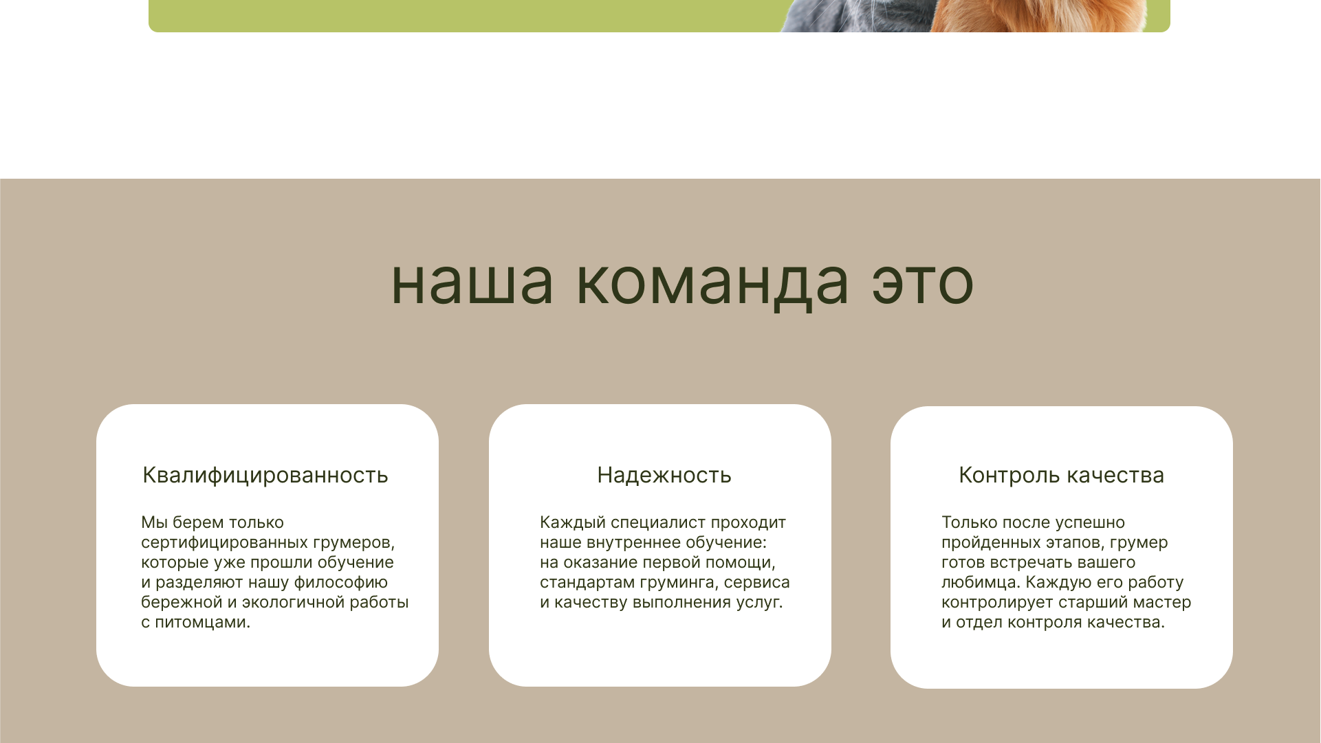 ДИЗАЙН САЙТА ДЛЯ ГРУМЕР СТУДИИ — Изображение №4 — Интерфейсы, Маркетинг на Dprofile