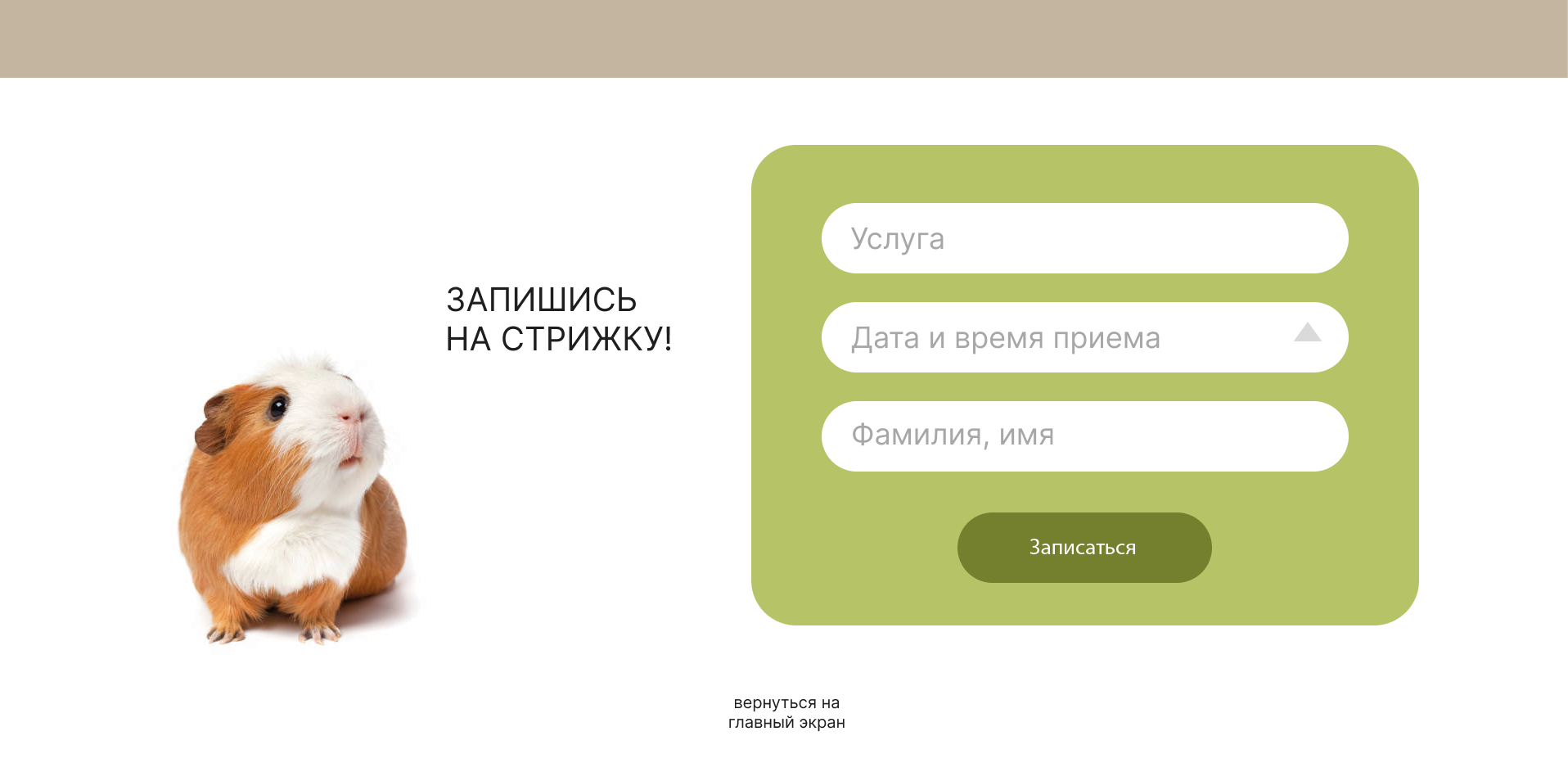 ДИЗАЙН САЙТА ДЛЯ ГРУМЕР СТУДИИ — Изображение №21 — Интерфейсы, Маркетинг на Dprofile