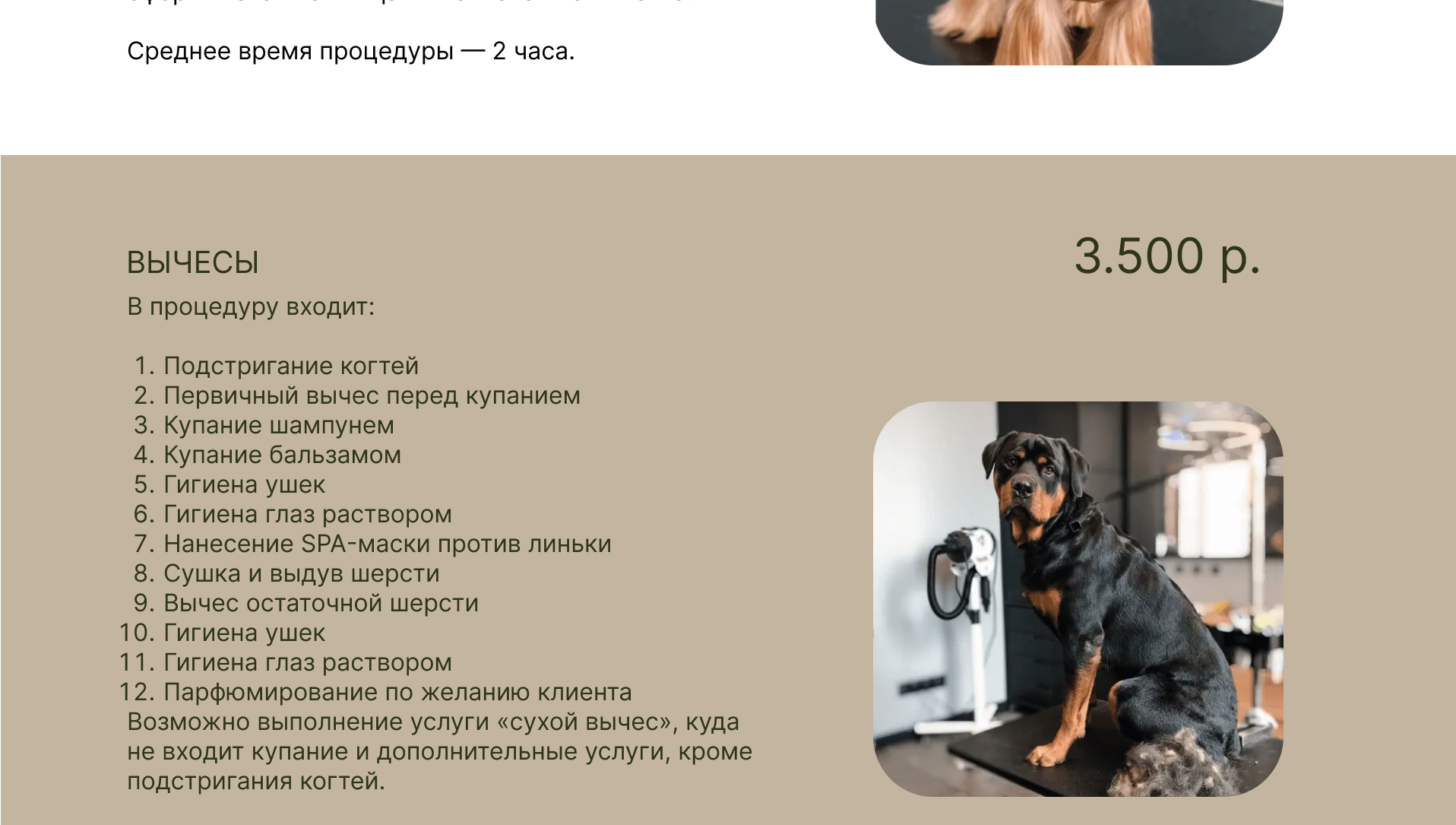 ДИЗАЙН САЙТА ДЛЯ ГРУМЕР СТУДИИ — Изображение №15 — Интерфейсы, Маркетинг на Dprofile