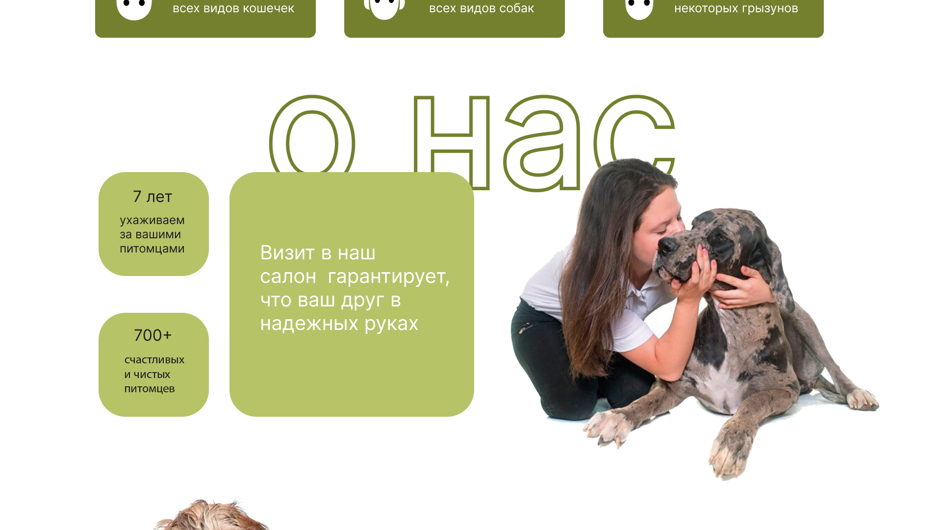 ДИЗАЙН САЙТА ДЛЯ ГРУМЕР СТУДИИ — Изображение №2 — Интерфейсы, Маркетинг на Dprofile