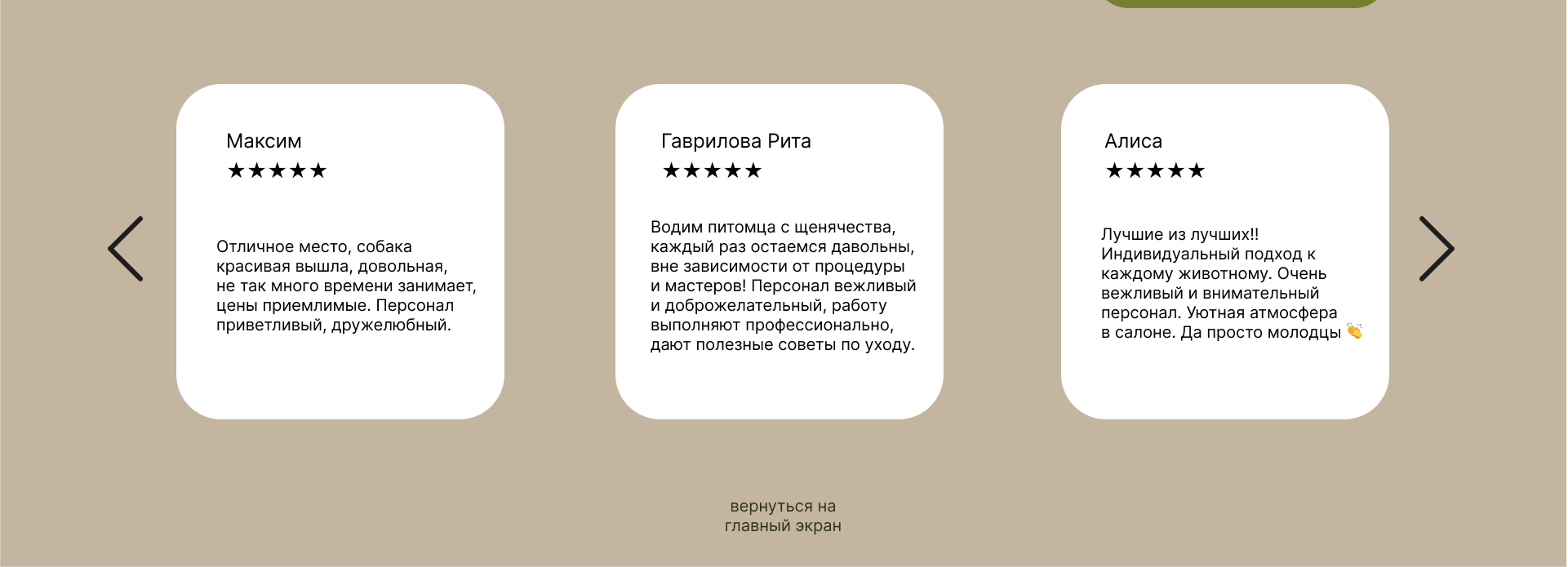 ДИЗАЙН САЙТА ДЛЯ ГРУМЕР СТУДИИ — Изображение №6 — Интерфейсы, Маркетинг на Dprofile