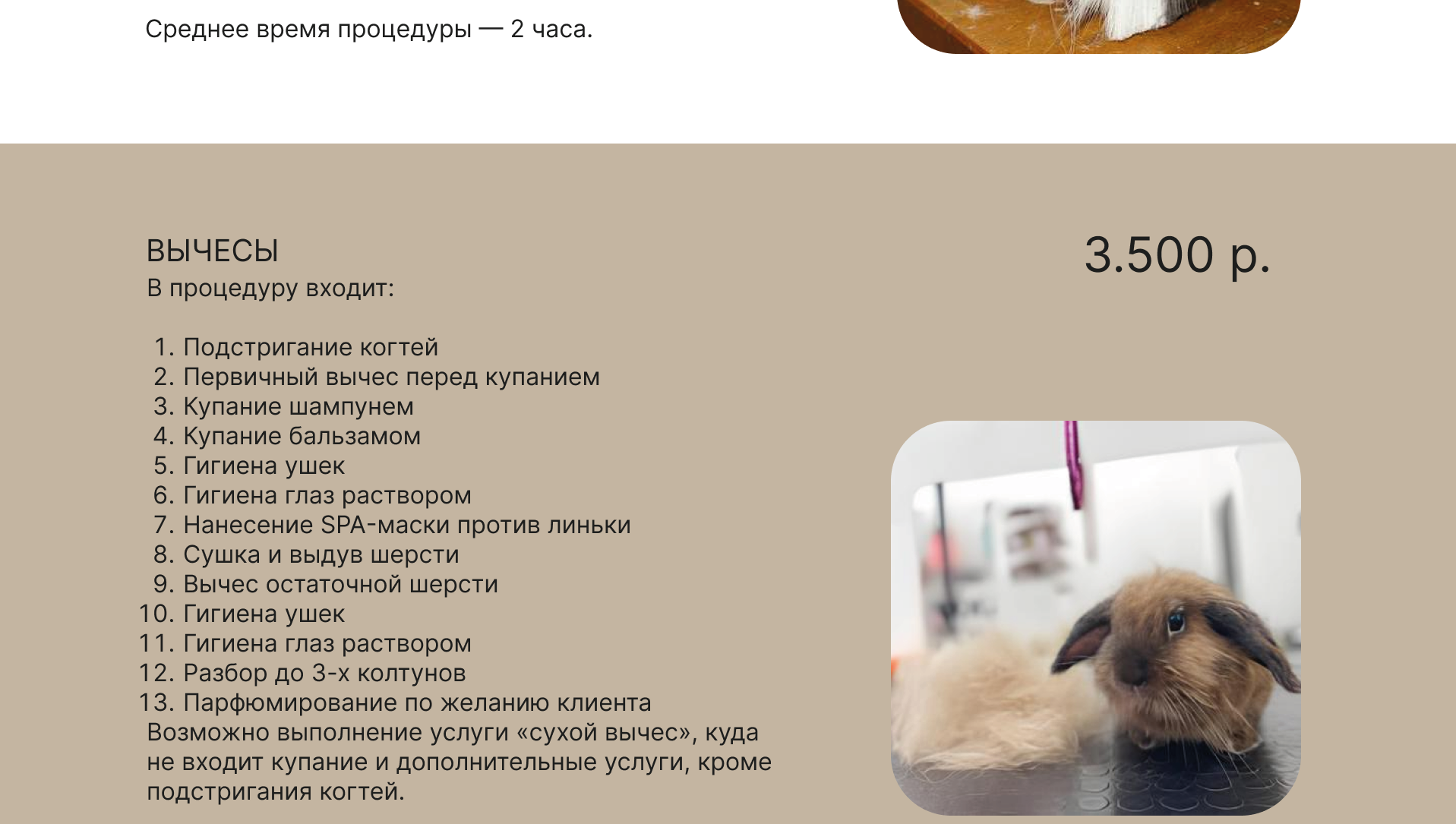 ДИЗАЙН САЙТА ДЛЯ ГРУМЕР СТУДИИ — Изображение №20 — Интерфейсы, Маркетинг на Dprofile