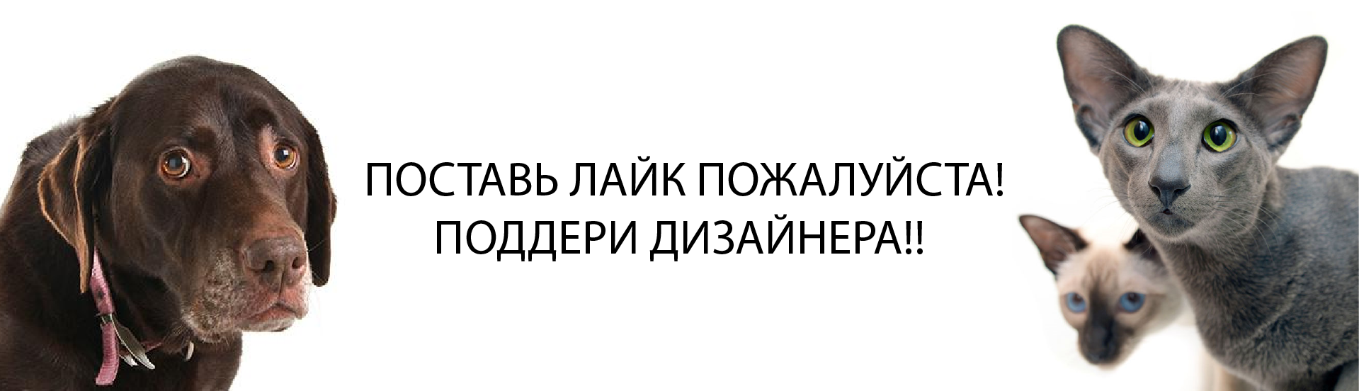 ДИЗАЙН САЙТА ДЛЯ ГРУМЕР СТУДИИ — Изображение №23 — Интерфейсы, Маркетинг на Dprofile