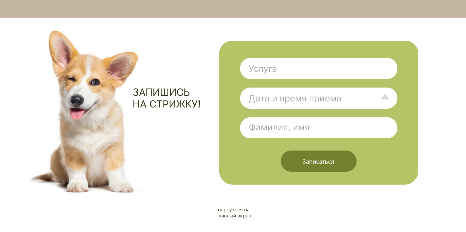 ДИЗАЙН САЙТА ДЛЯ ГРУМЕР СТУДИИ — Изображение №16 — Интерфейсы, Маркетинг на Dprofile