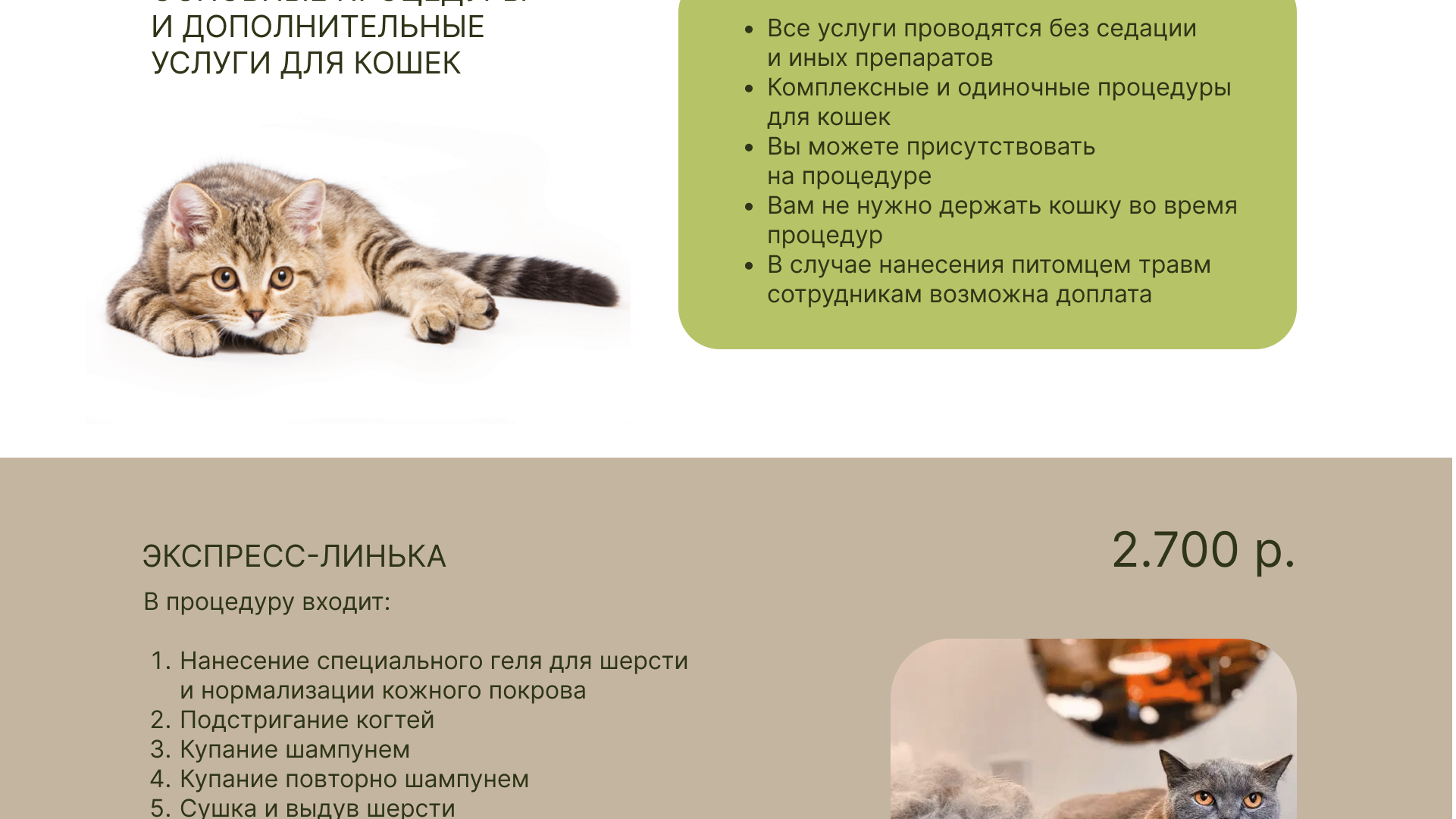 ДИЗАЙН САЙТА ДЛЯ ГРУМЕР СТУДИИ — Изображение №8 — Интерфейсы, Маркетинг на Dprofile