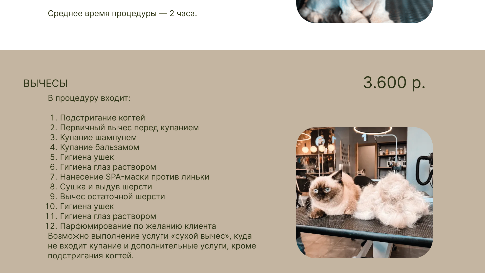 ДИЗАЙН САЙТА ДЛЯ ГРУМЕР СТУДИИ — Изображение №10 — Интерфейсы, Маркетинг на Dprofile