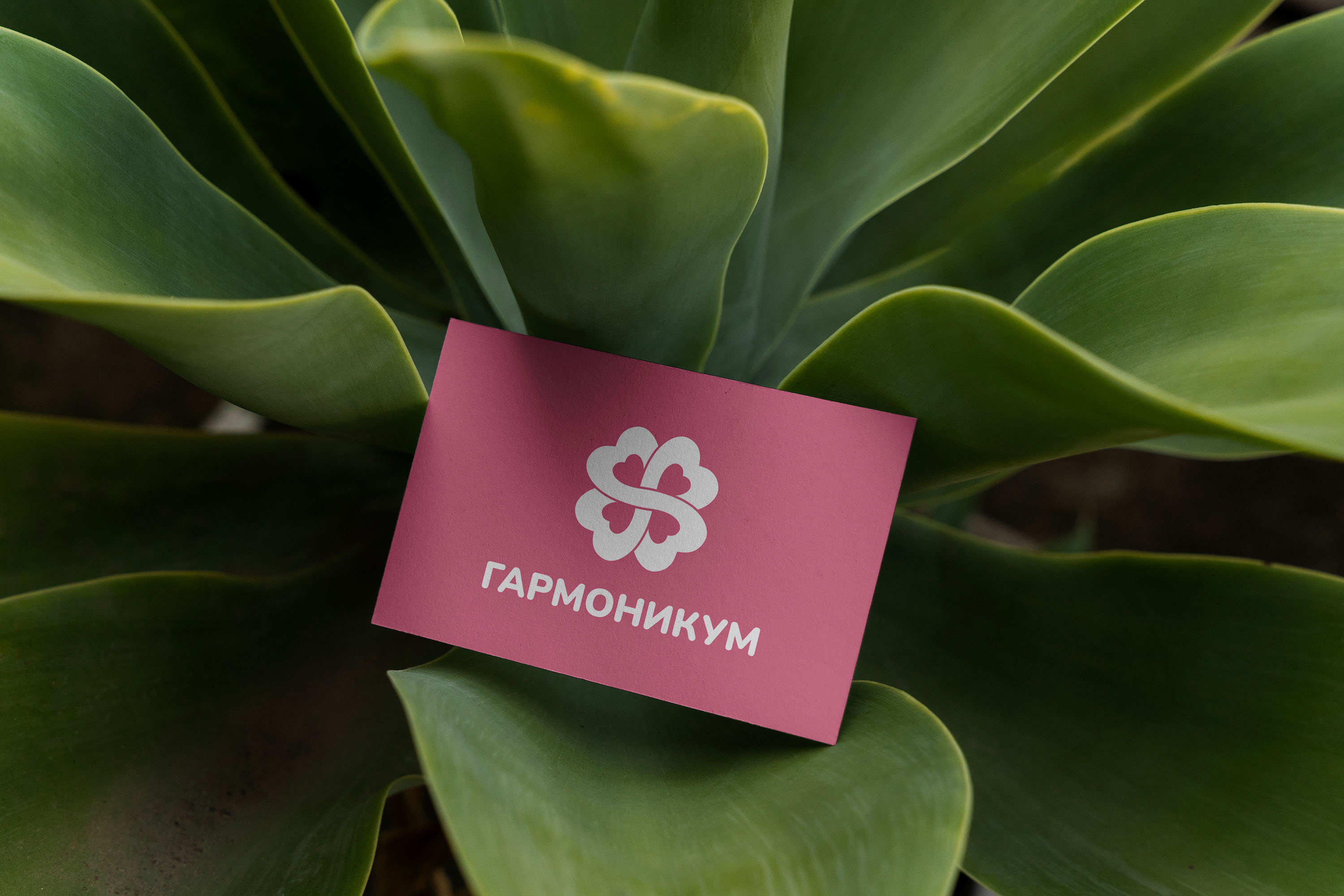 Логотип Гармоникум — Изображение №4 — Брендинг на Dprofile