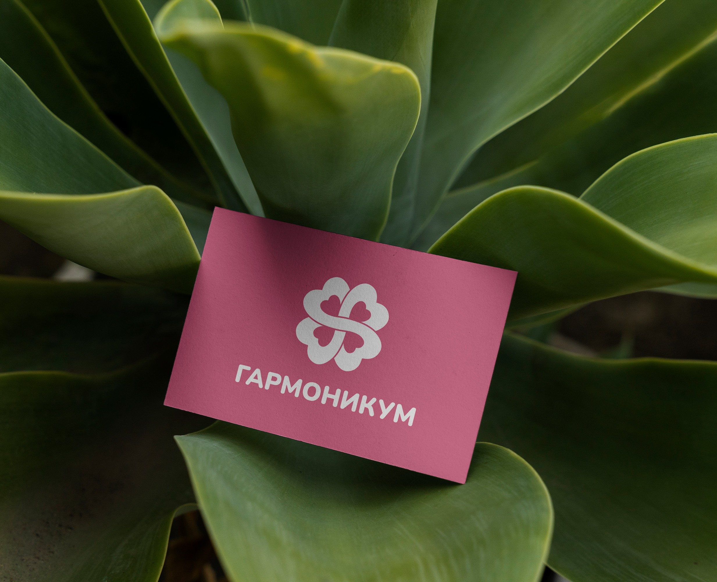 Логотип Гармоникум на Dprofile