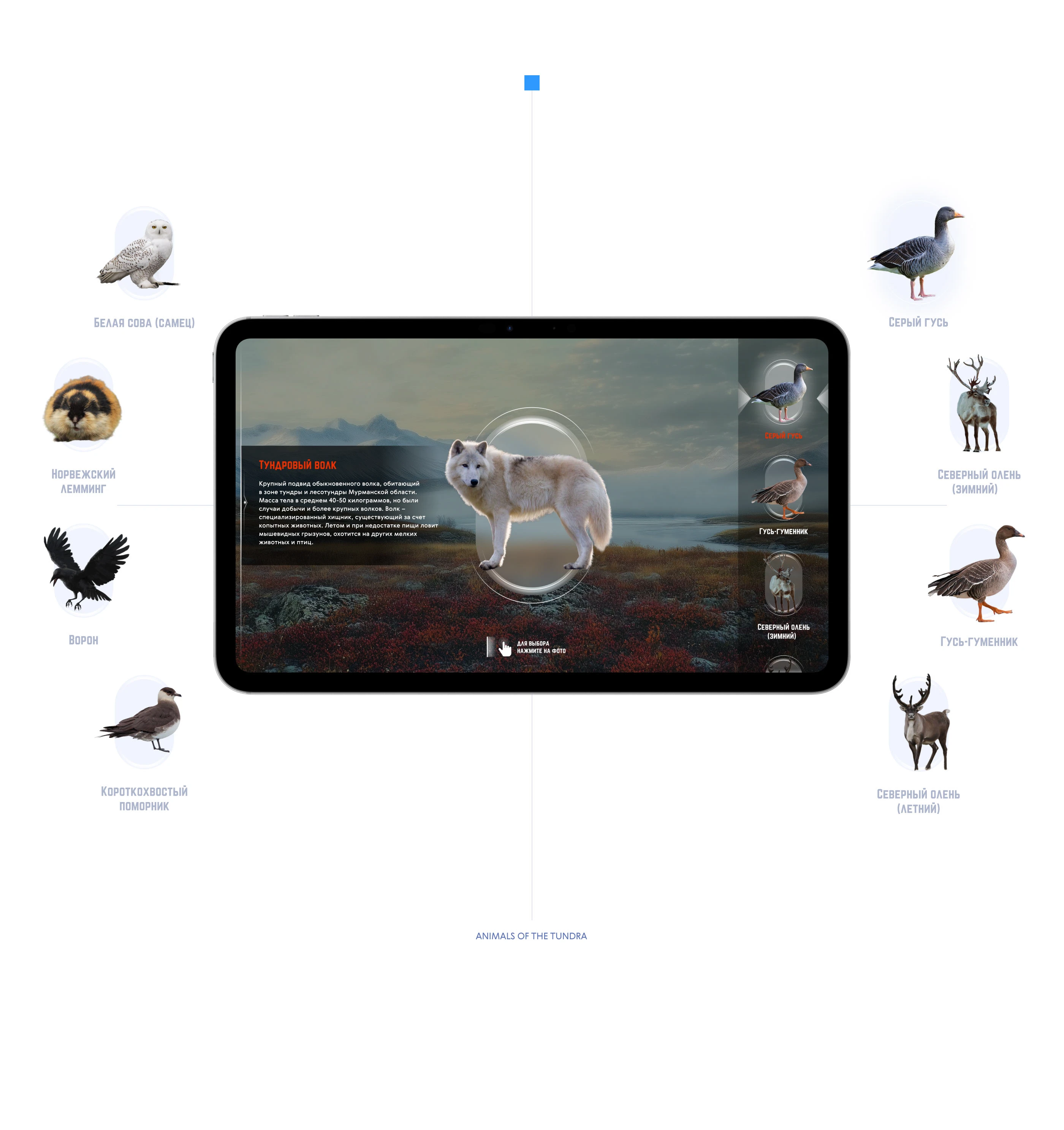 Мурманский краеведческий музей — Изображение №18 — Интерфейсы, 3D на Dprofile