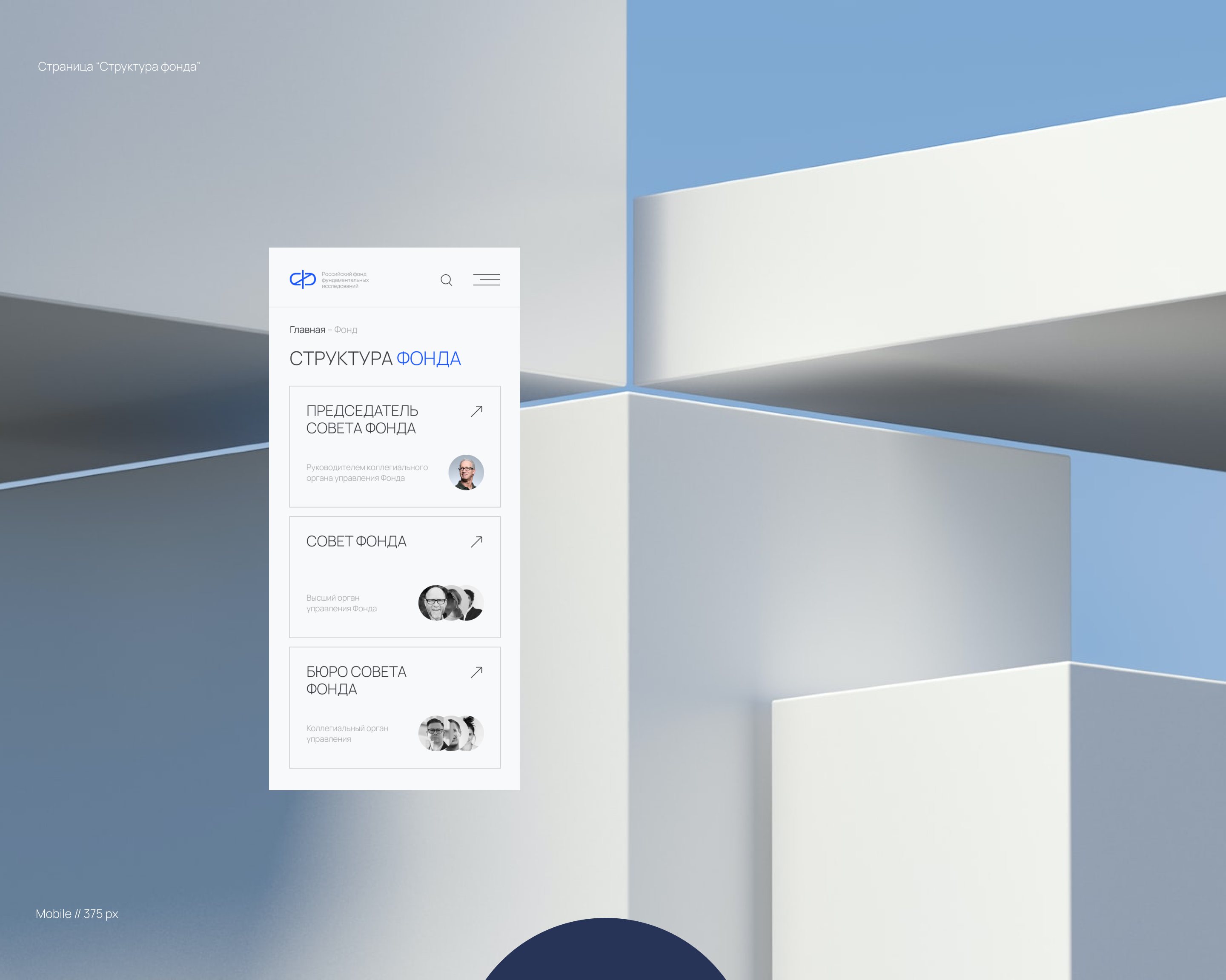 Site & Logo for Russian Fund — Изображение №9 — Интерфейсы, Брендинг на Dprofile