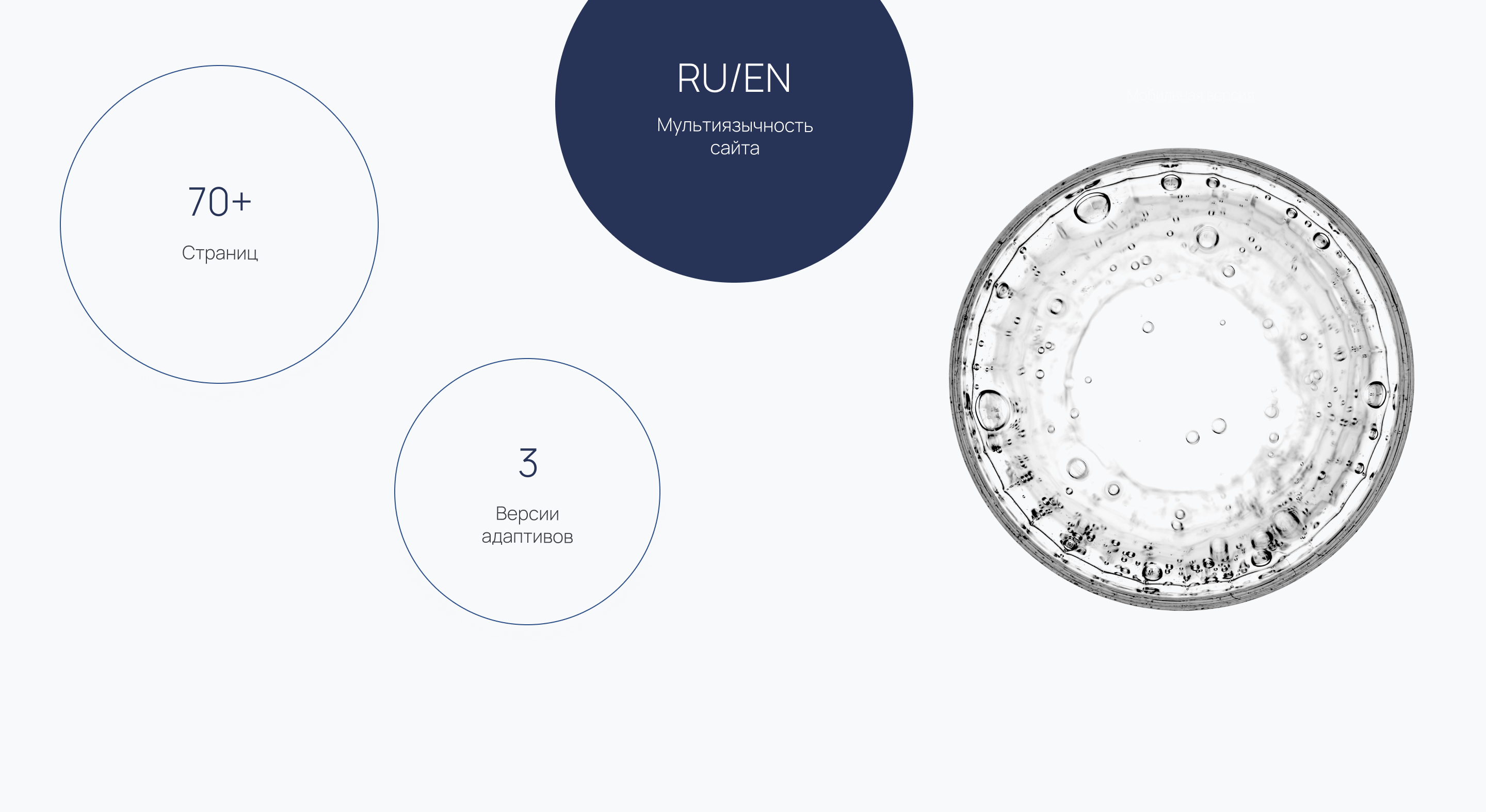 Site & Logo for Russian Fund — Изображение №10 — Интерфейсы, Брендинг на Dprofile