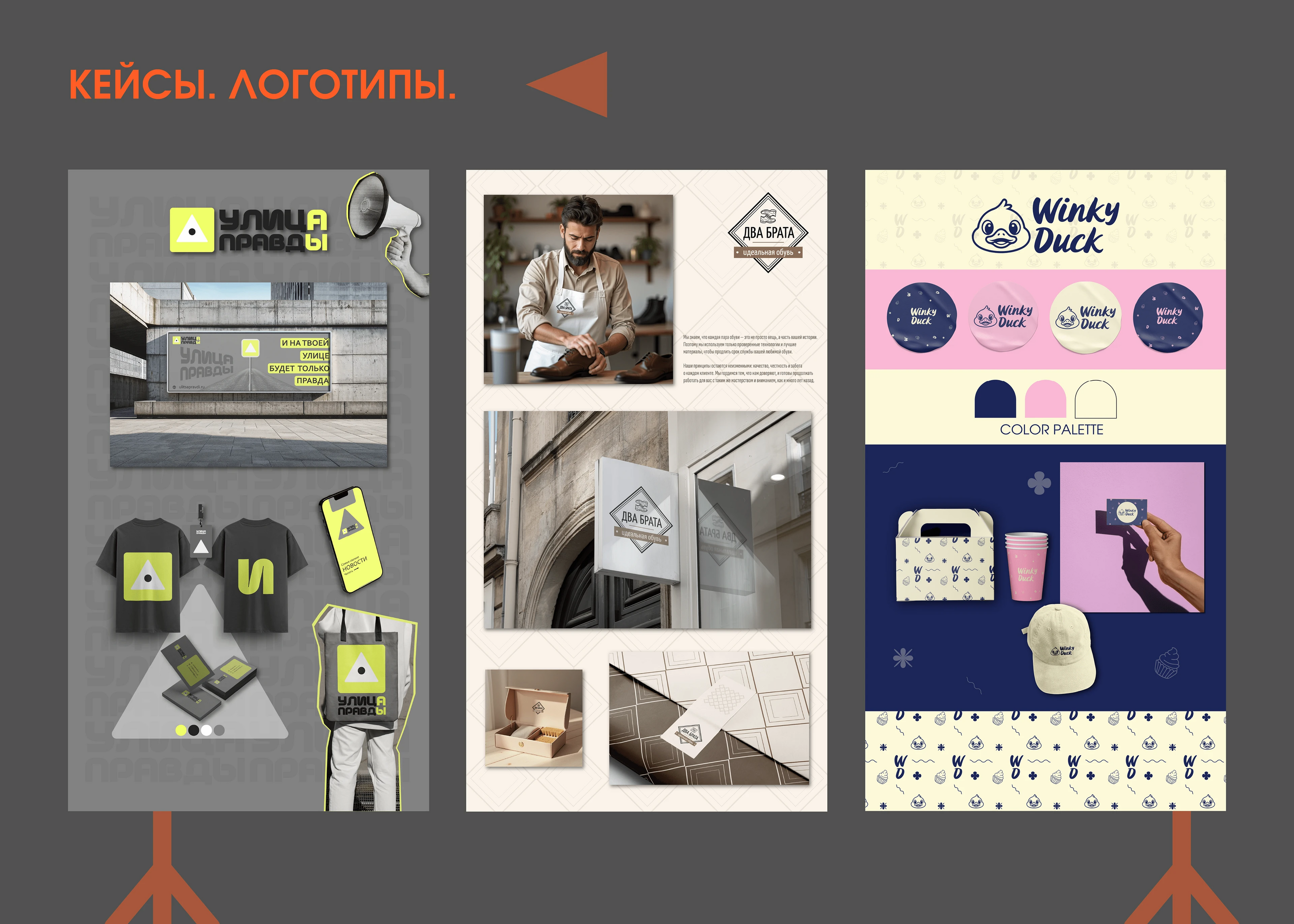 Портфолио Ира Бердникова — Изображение №7 — Брендинг, Маркетинг на Dprofile