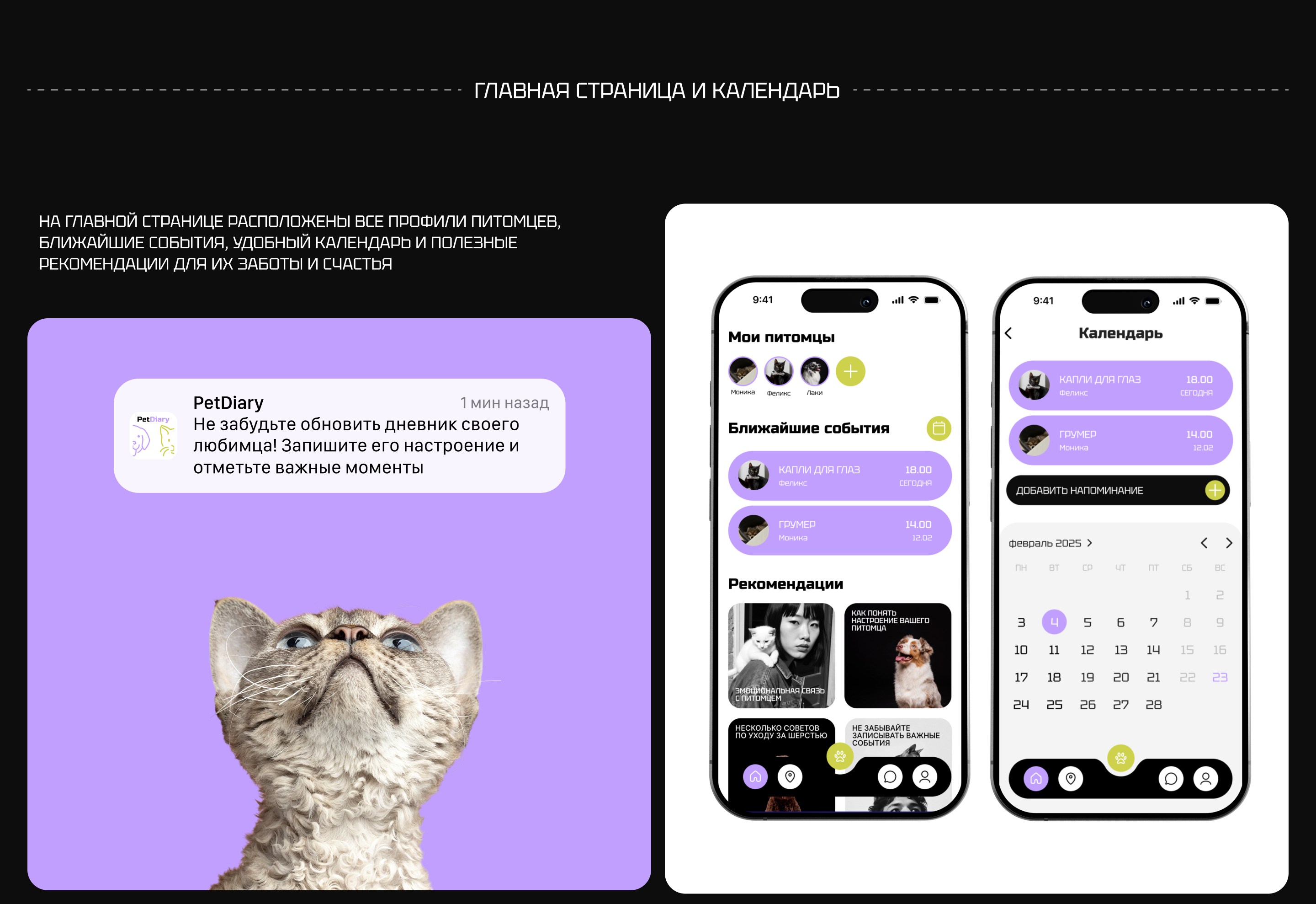 PetDiary | Mobile App — Изображение №8 — Интерфейсы на Dprofile