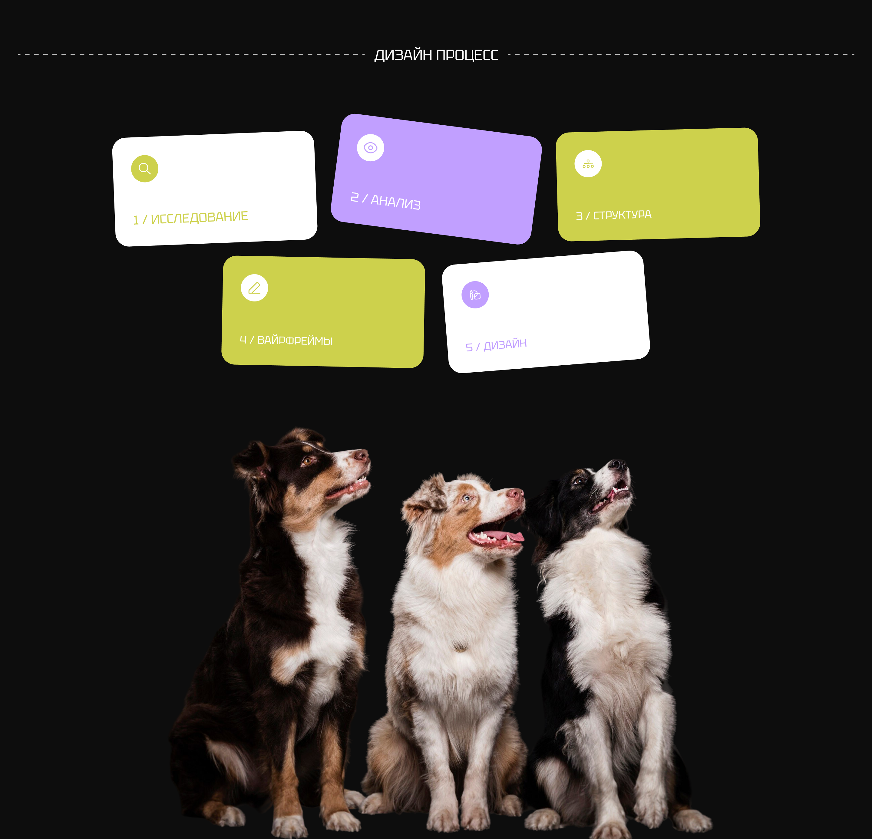 PetDiary | Mobile App — Изображение №4 — Интерфейсы на Dprofile