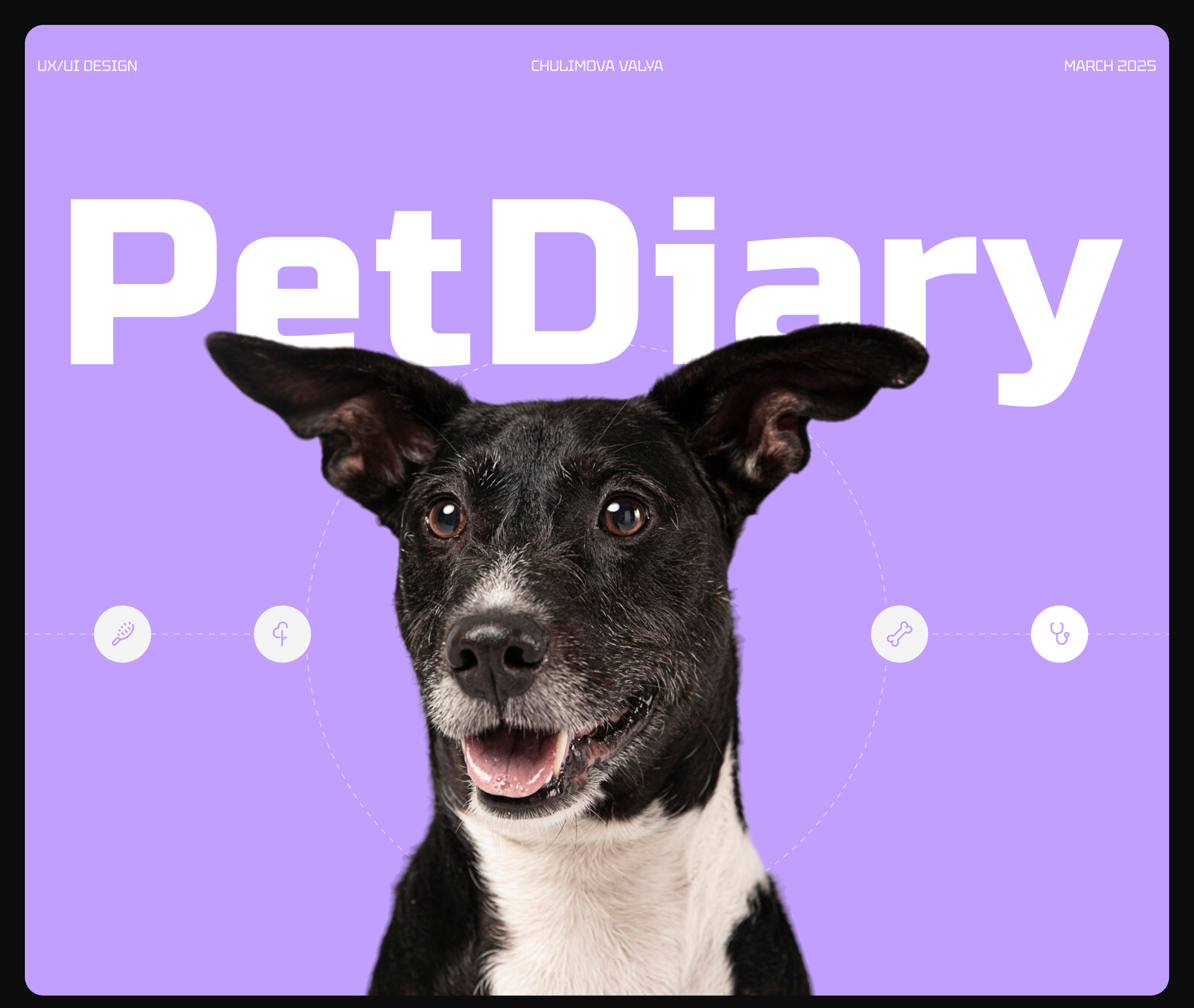 PetDiary | Mobile App — Изображение №1 — Интерфейсы на Dprofile