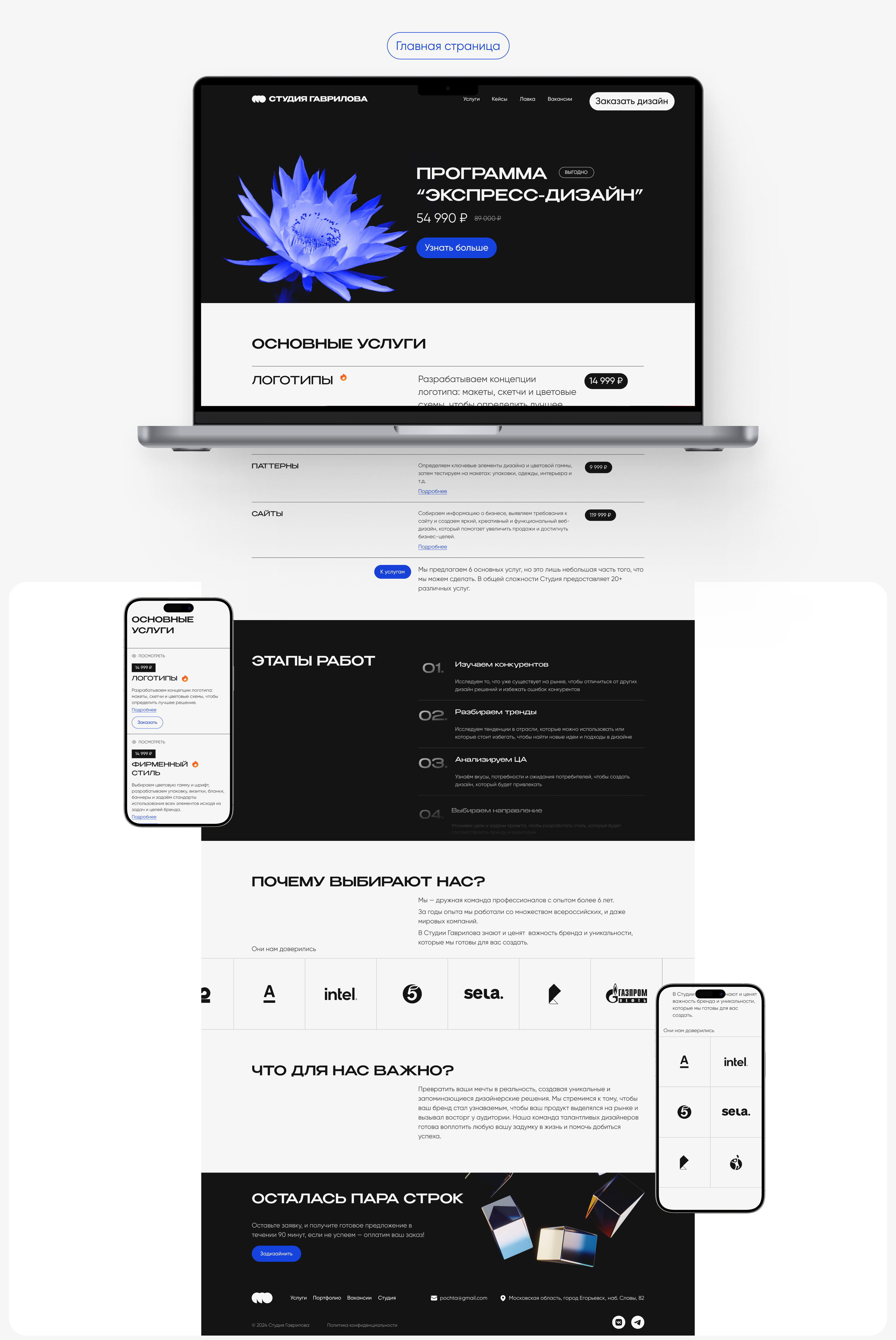Website | Студия Гаврилова — Изображение №4 — Интерфейсы, Анимация на Dprofile