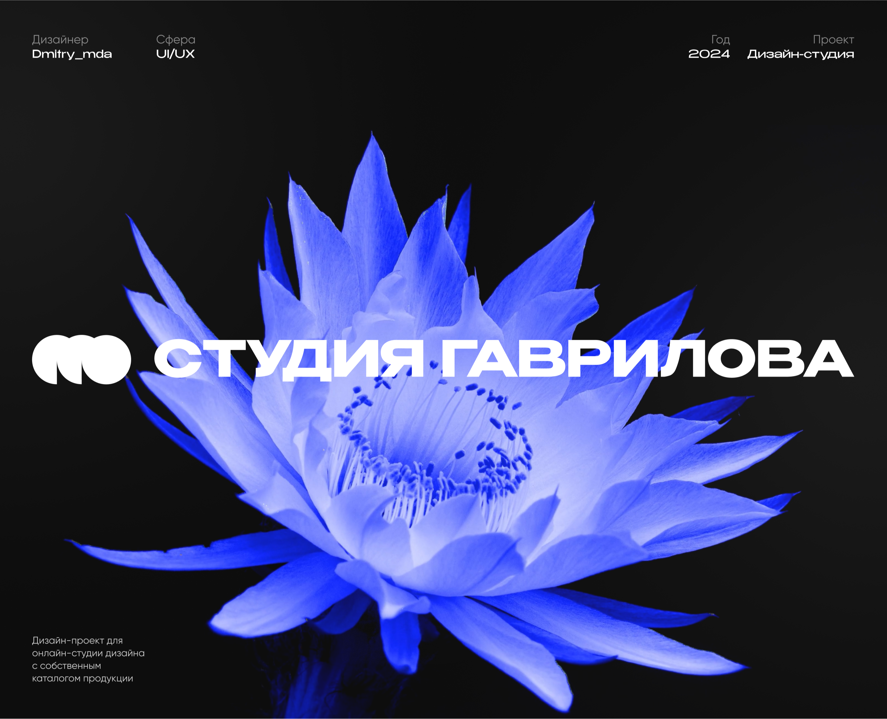 Website | Студия Гаврилова — Интерфейсы, Анимация на Dprofile