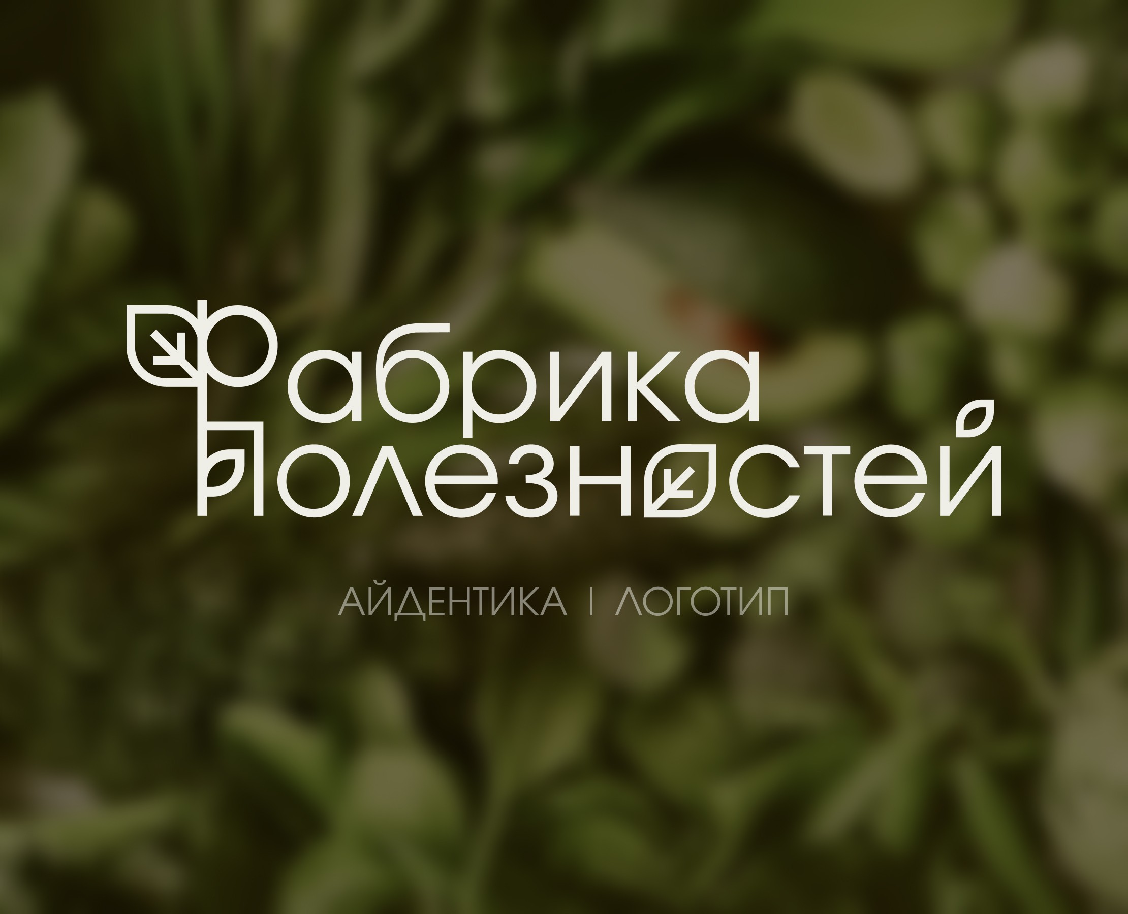 Айдентика бренда «Фабрика Полезностей» — Брендинг на Dprofile