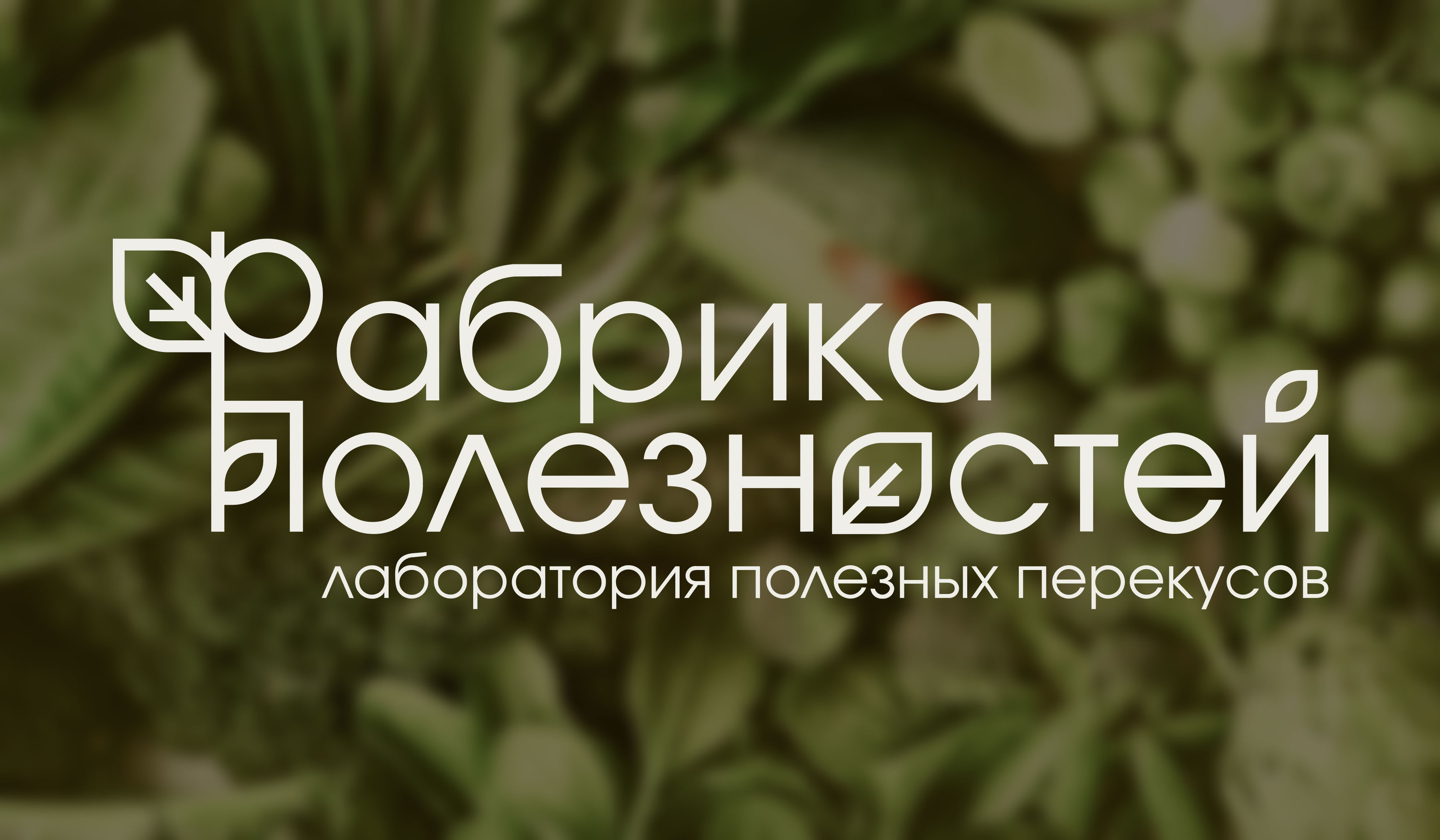 Айдентика бренда «Фабрика Полезностей» — Изображение №1 — Брендинг на Dprofile
