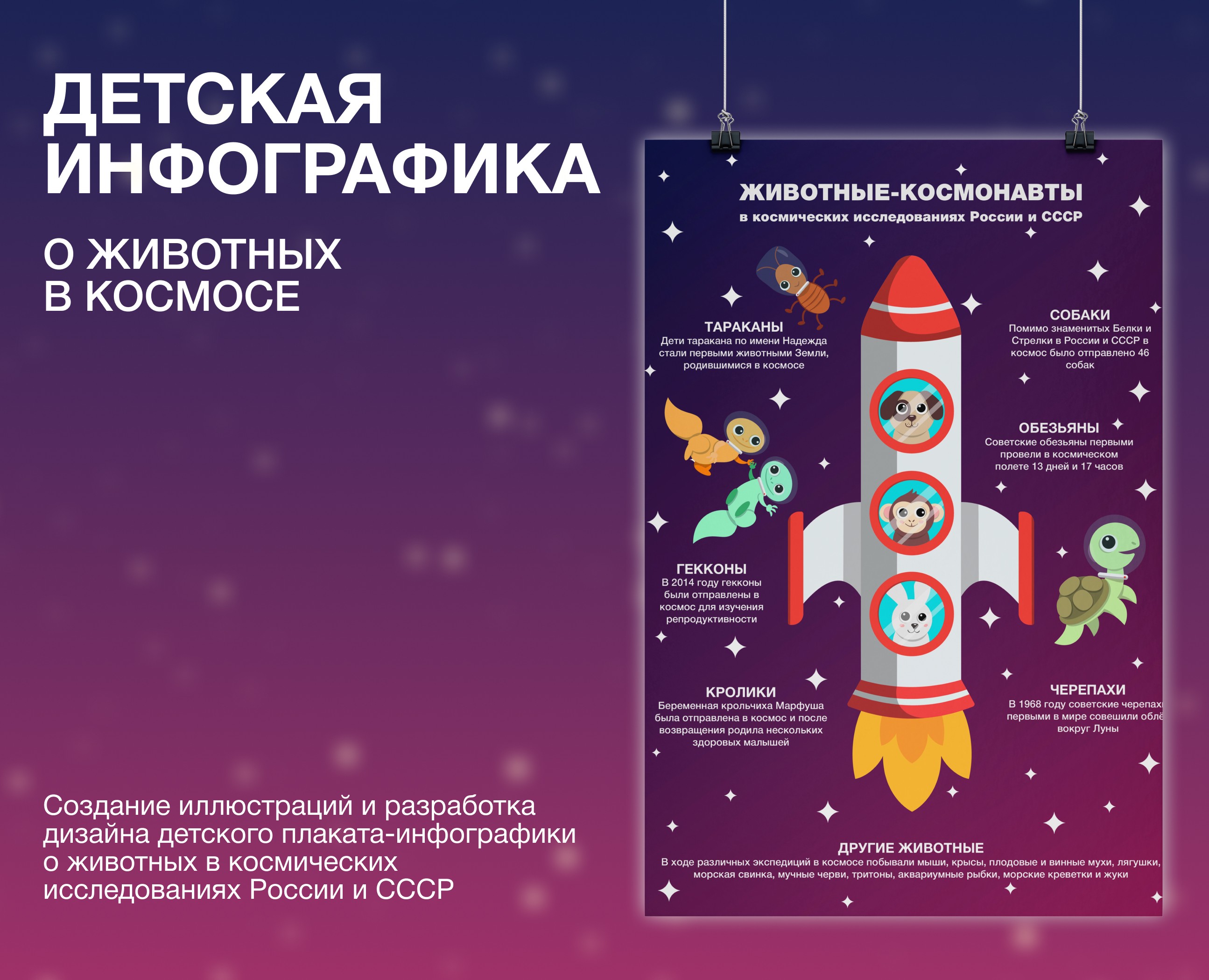 Детская инфографика "Животные-космонавты" — Иллюстрация, Графика на Dprofile
