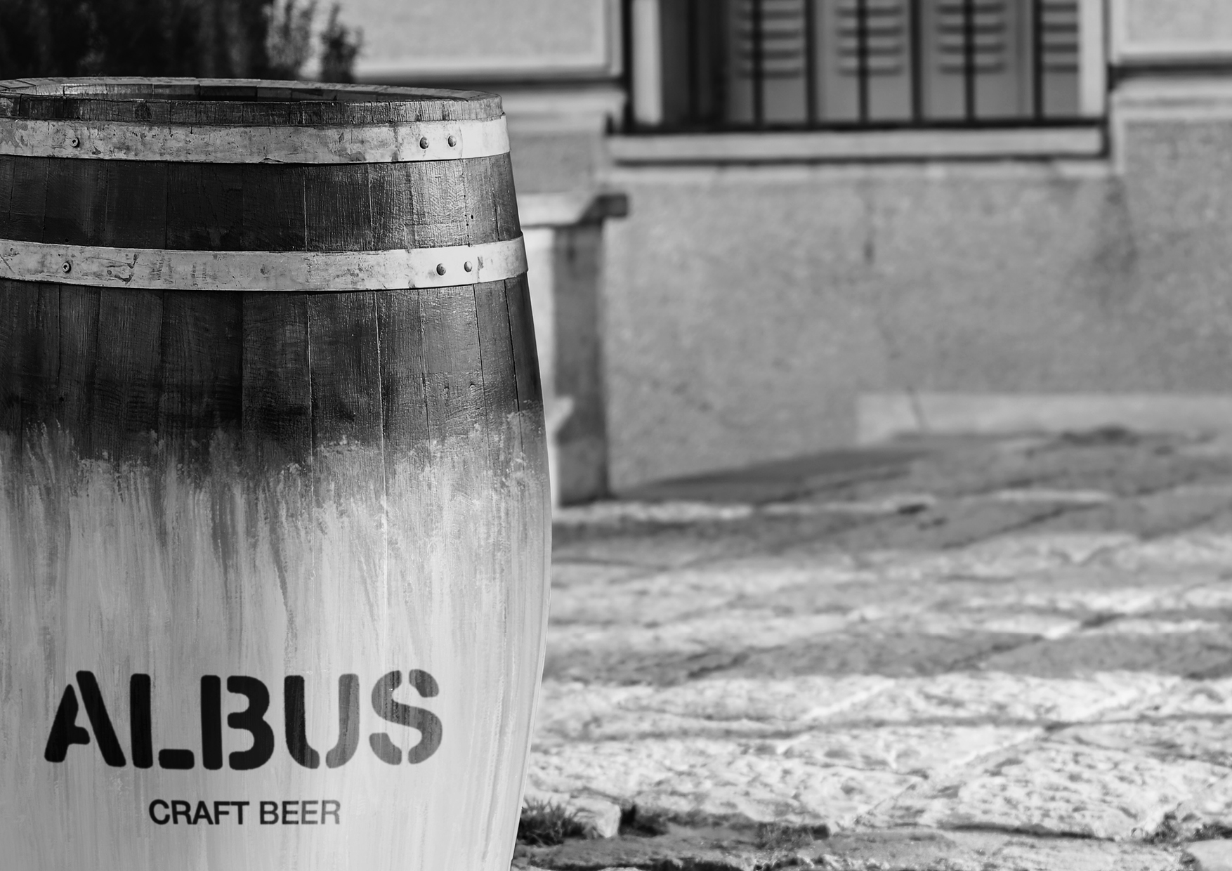 ALBUS. упаковка крафтового пива — Изображение №4 — Брендинг на Dprofile