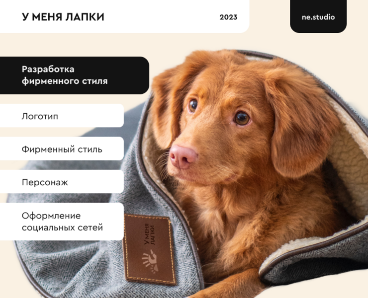 Фирменный стиль для приюта «У меня лапки» — Брендинг на Dprofile