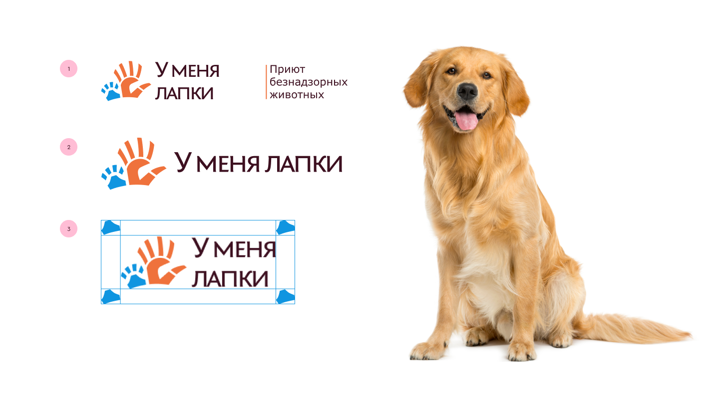 Фирменный стиль для приюта «У меня лапки» — Изображение №8 — Брендинг на Dprofile