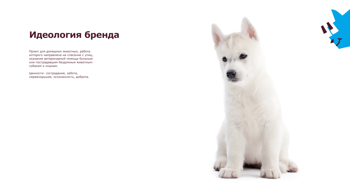 Фирменный стиль для приюта «У меня лапки» — Изображение №4 — Брендинг на Dprofile