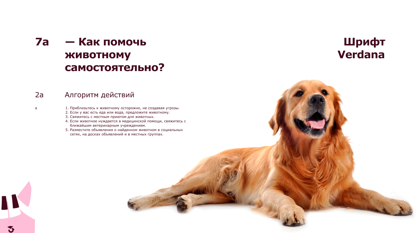 Фирменный стиль для приюта «У меня лапки» — Изображение №6 — Брендинг на Dprofile