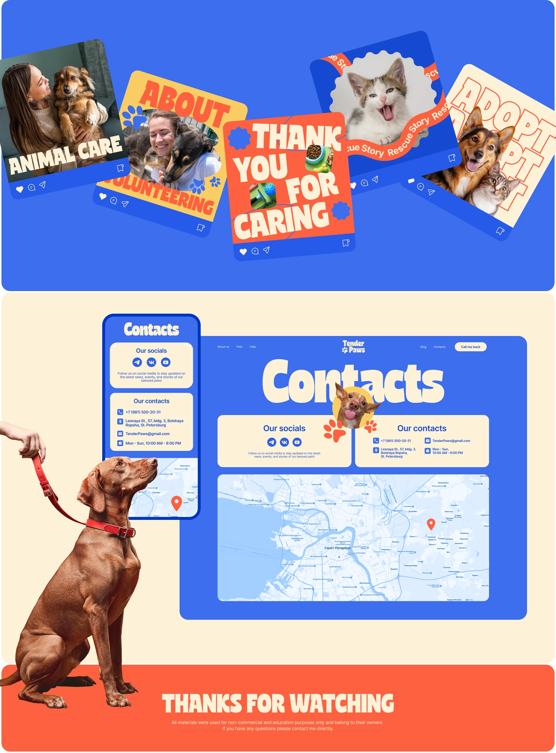 Tender Paws | Corporate website concept — Изображение №7 — Интерфейсы на Dprofile
