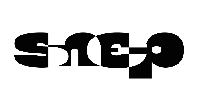 Snep. Logo, ton of voice, base tee's — Изображение №1 — Интерфейсы, Брендинг на Dprofile