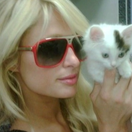 Аватар пользователя Софья Чумаченко