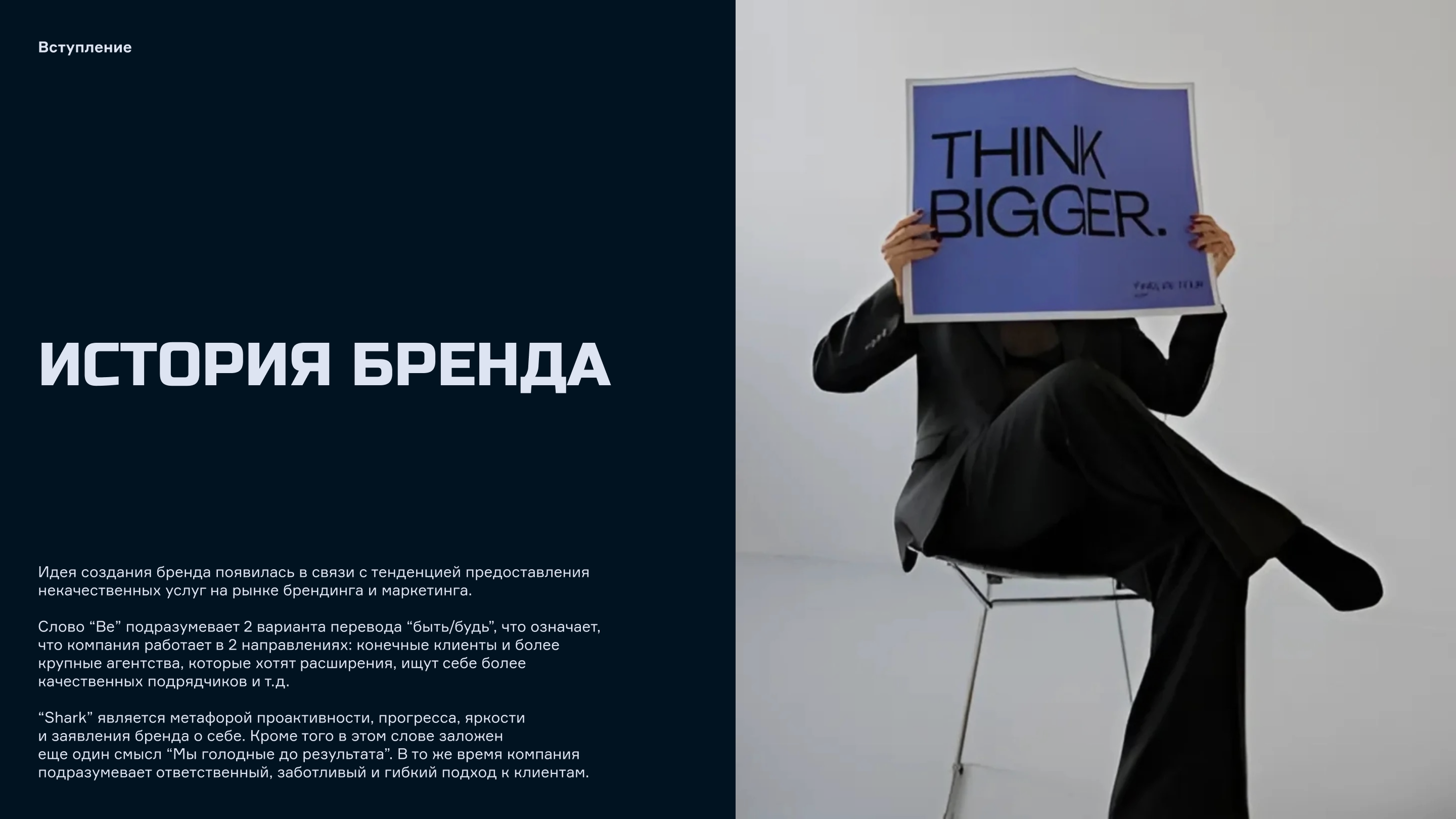 B.Shark — Изображение №2 — Брендинг, Графика на Dprofile