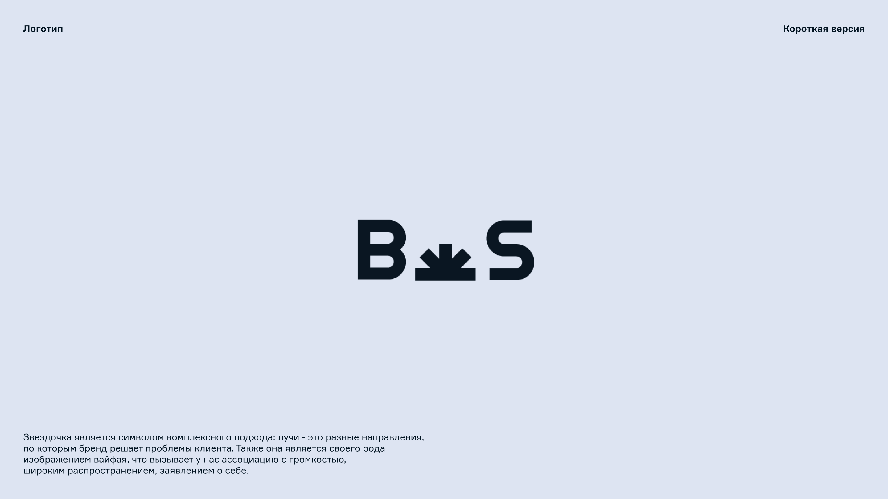 B.Shark — Изображение №6 — Брендинг, Графика на Dprofile