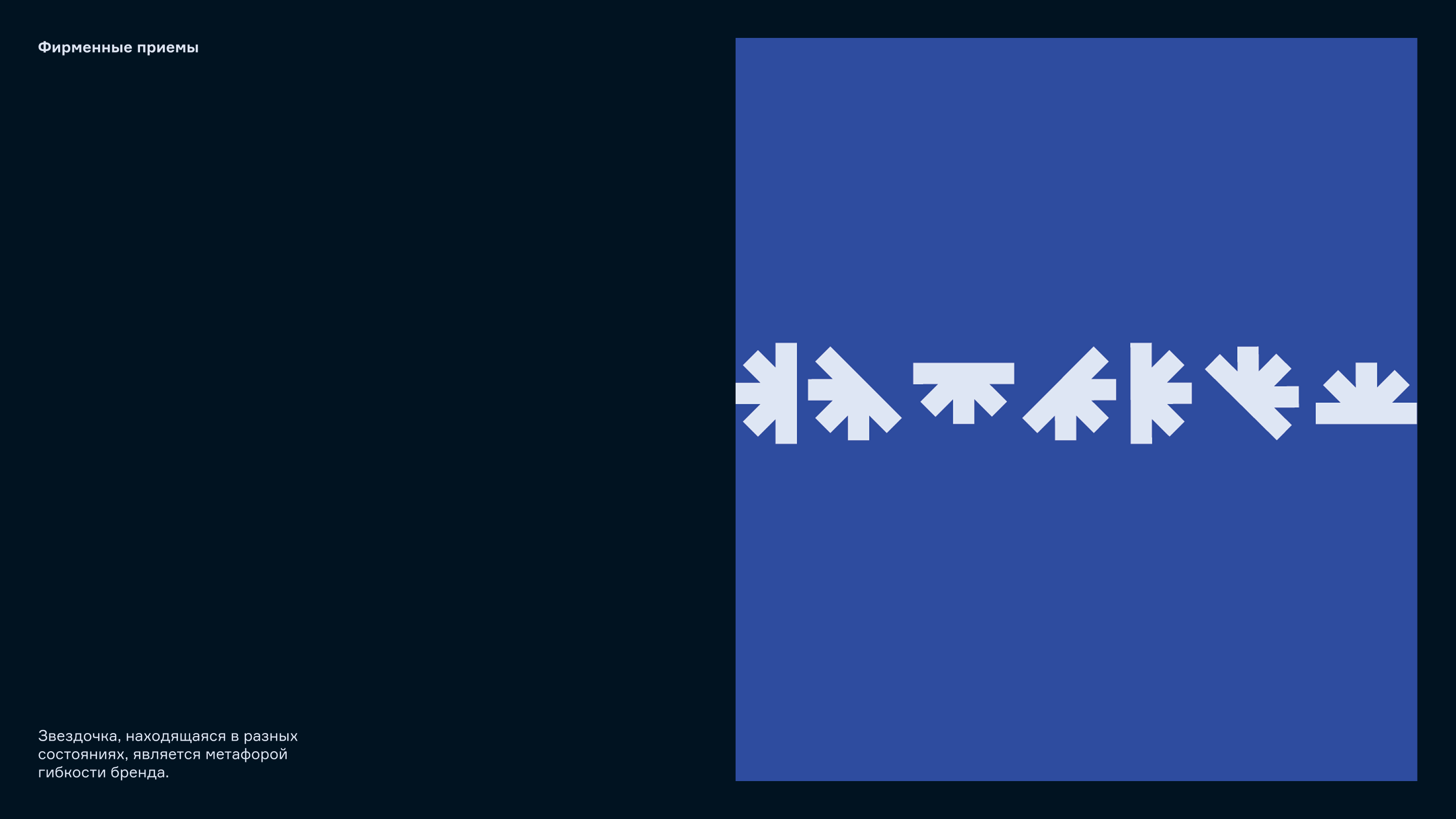 B.Shark — Изображение №12 — Брендинг, Графика на Dprofile