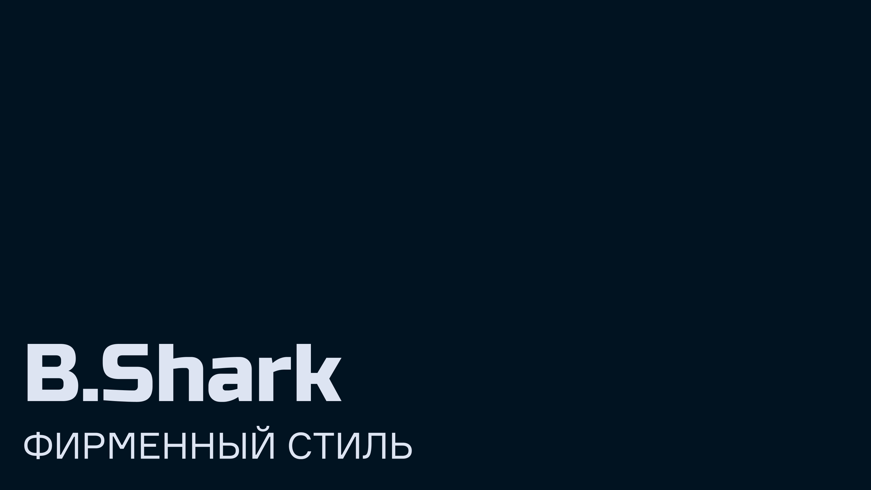 B.Shark — Изображение №1 — Брендинг, Графика на Dprofile