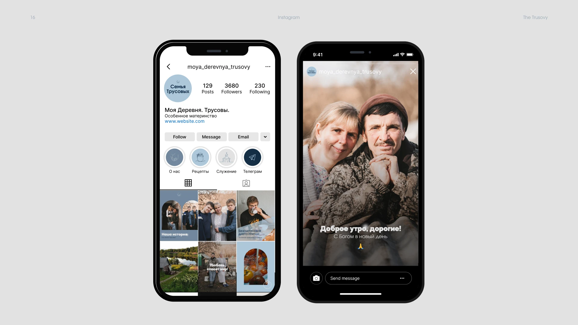 Семья Трусовых — Изображение №16 — Интерфейсы, Брендинг на Dprofile
