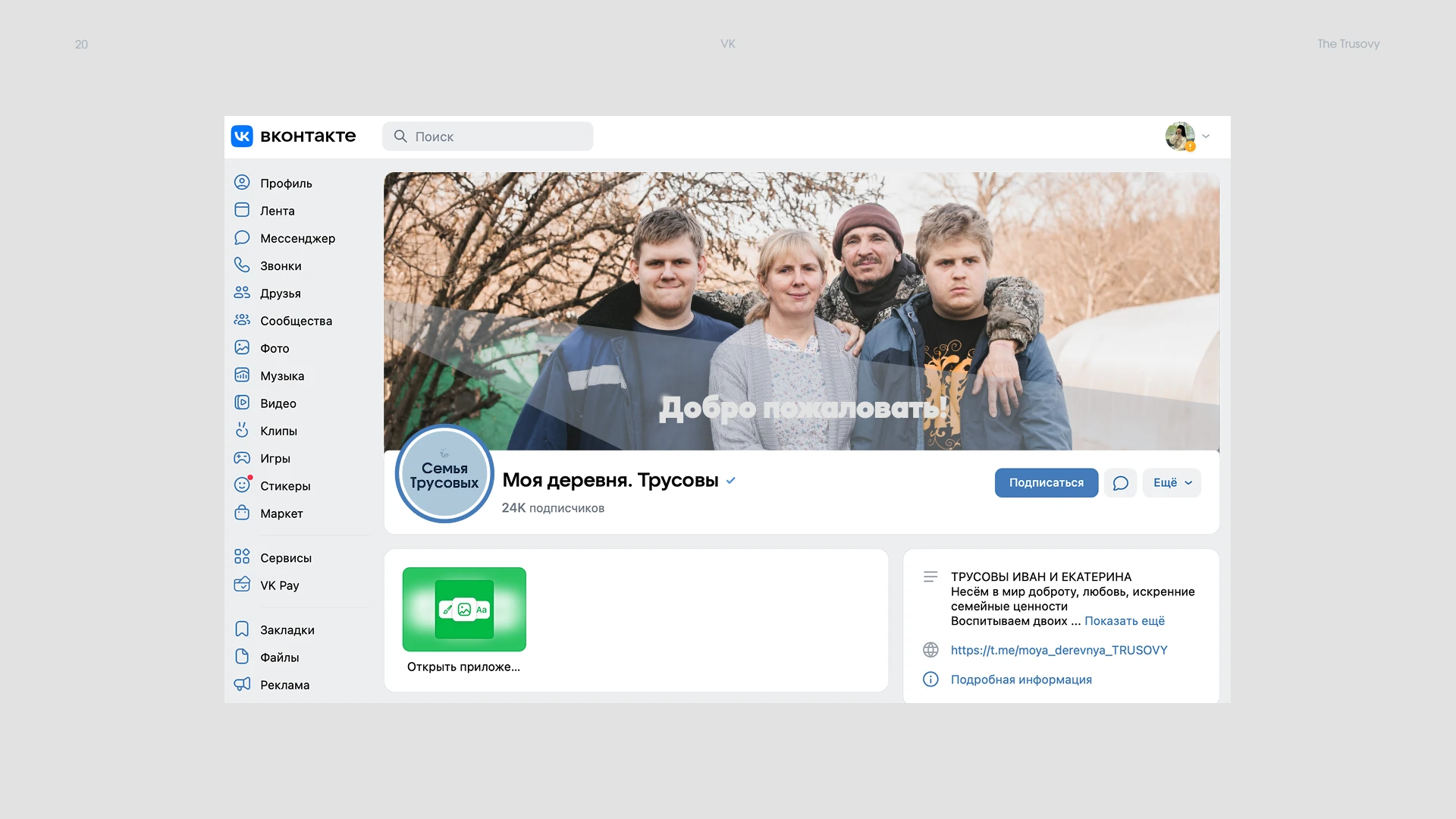 Семья Трусовых — Изображение №20 — Интерфейсы, Брендинг на Dprofile