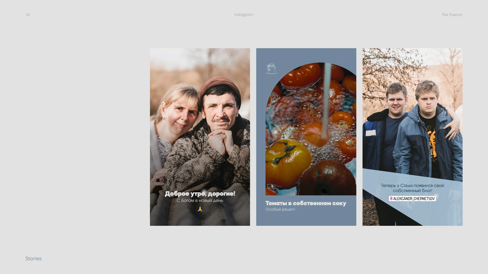 Семья Трусовых — Изображение №15 — Интерфейсы, Брендинг на Dprofile