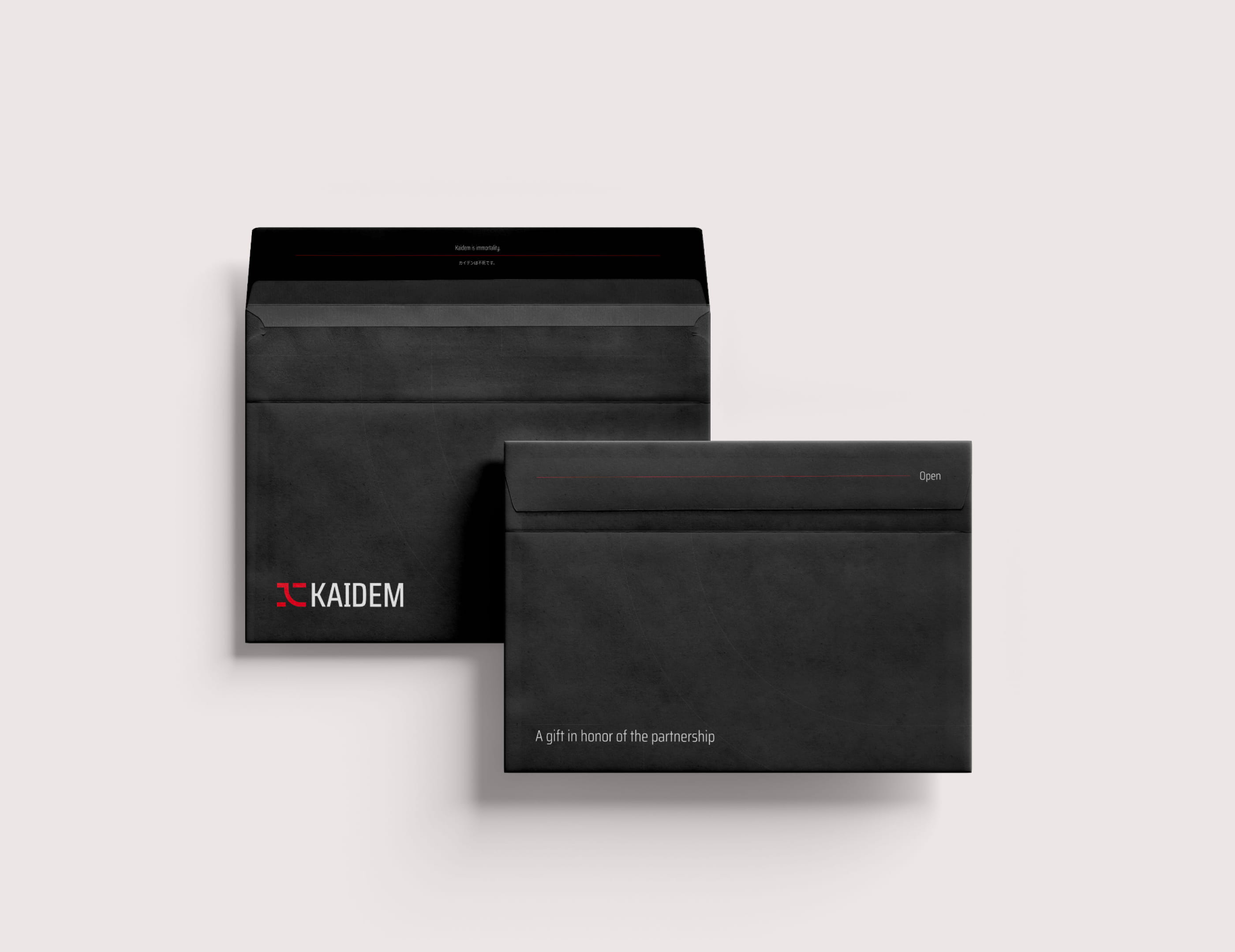 Kaidem™. Branding — Изображение №8 — Интерфейсы, Брендинг на Dprofile